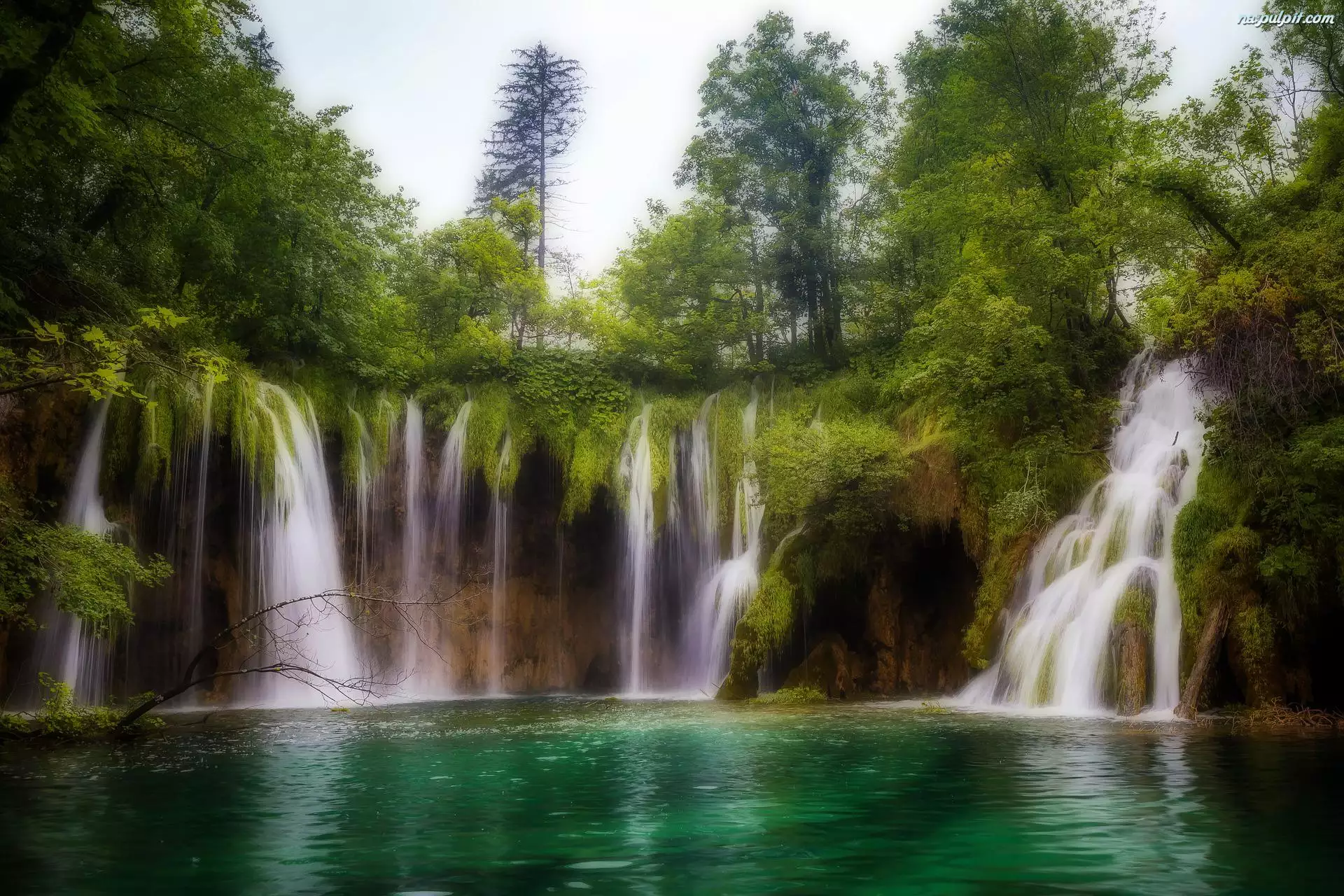 Natura, Chorwacja, Wodospady, Las, Jezioro, Skały, Drzewa, Park Narodowy Jezior Plitwickich