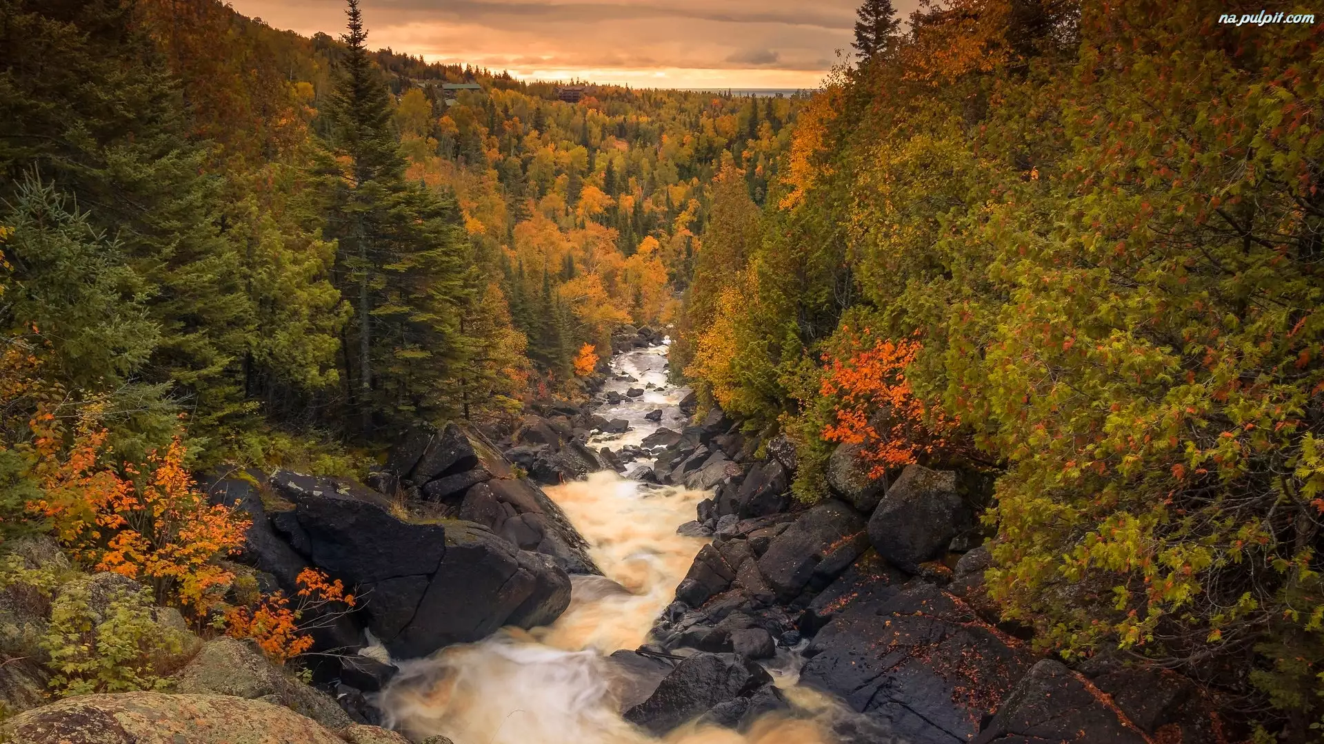 Kamienie, Jesień, Rzeka, Manitoba, Kolorowe, Poplar River, Kanada, Drzewa