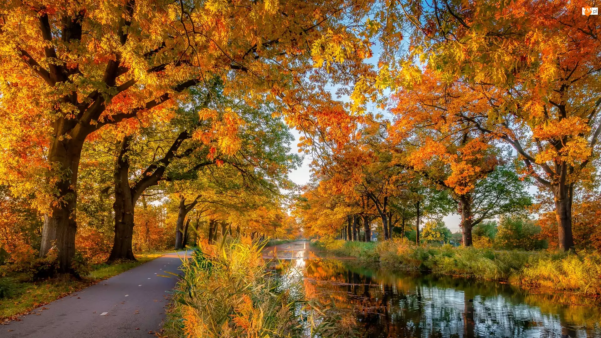 Jesień, Droga, Rzeka, Drzewa