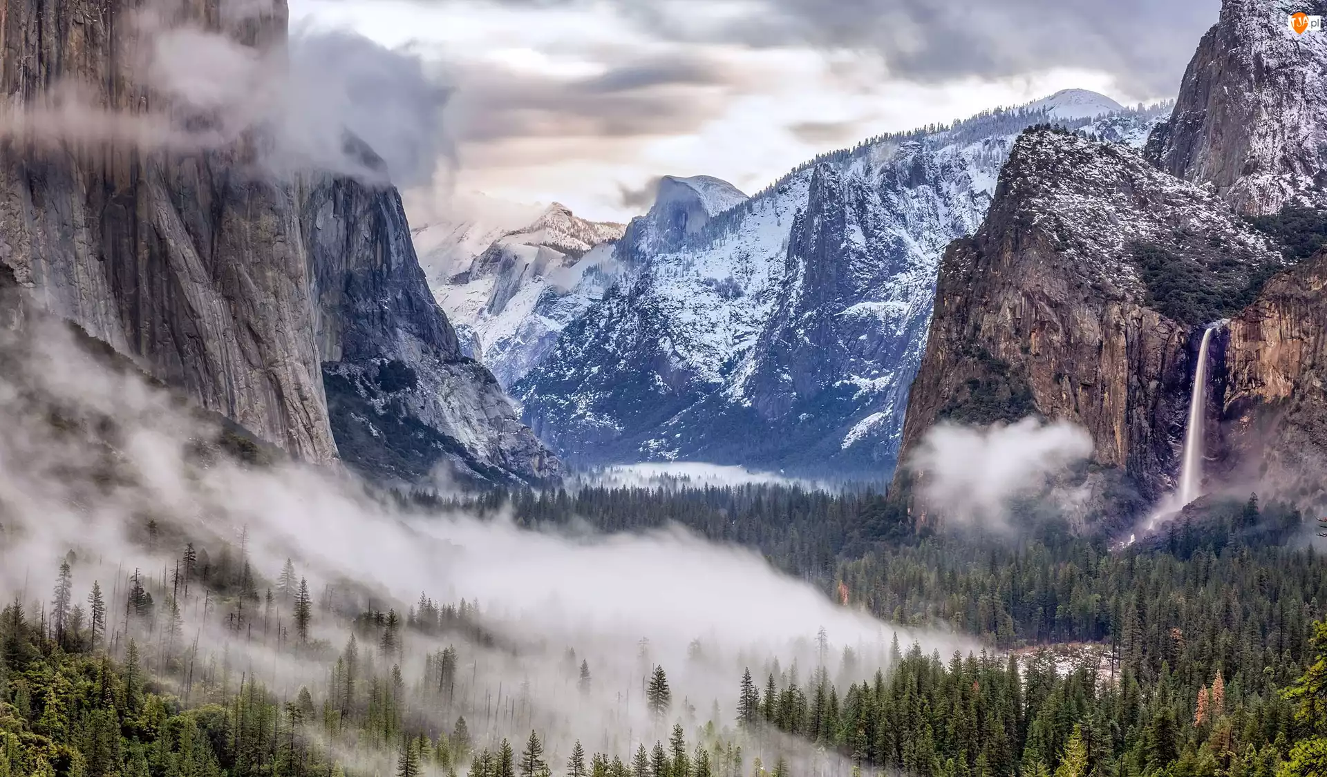 Drzewa, Mgła, Stany Zjednoczone, Góry, Park Narodowy Yosemite, Kalifornia, Chmury