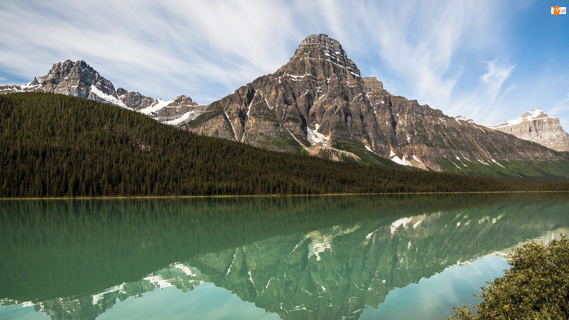 Drzewa, Góry, Jezioro, Park Narodowy Banff, Góra, Waterfowl Lakes, Kanada, Mount Chephren