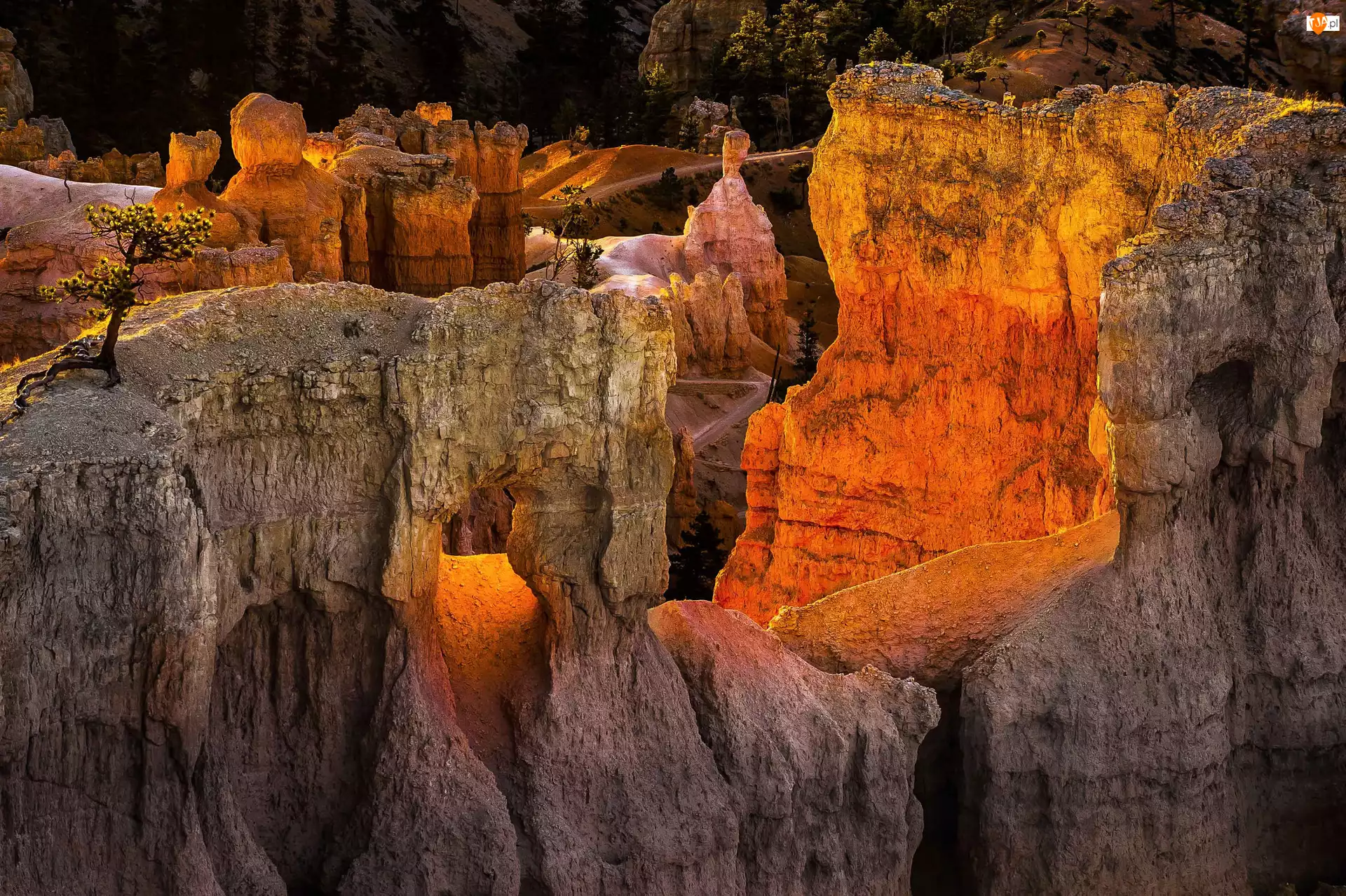 Stan Utah, Skały, Stany Zjednoczone, Park Narodowy Bryce Canyon, Góry