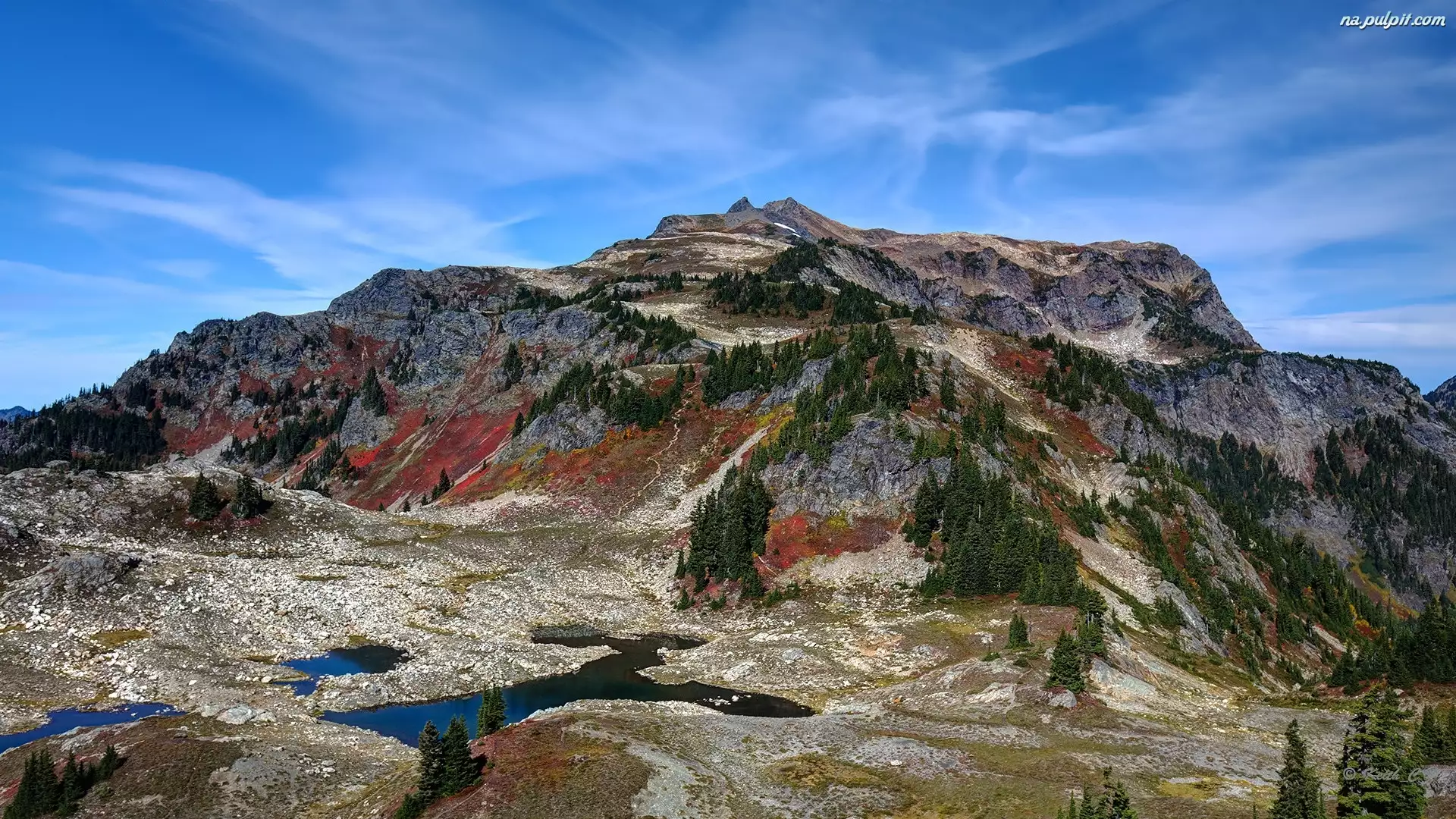 Skagit Range, Góry, Drzewa, Stany Zjednoczone, Góra Tomyhoi Peak, Jezioro