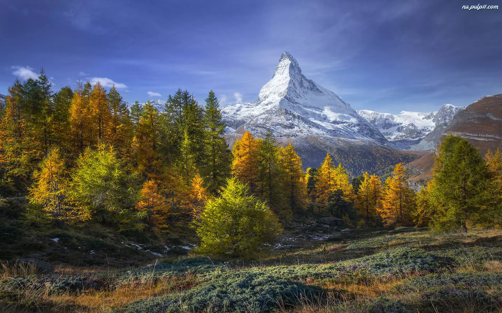Alpy, Szczyt Matterhorn, Szwajcaria, Góry, Jesień, Las, Drzewa