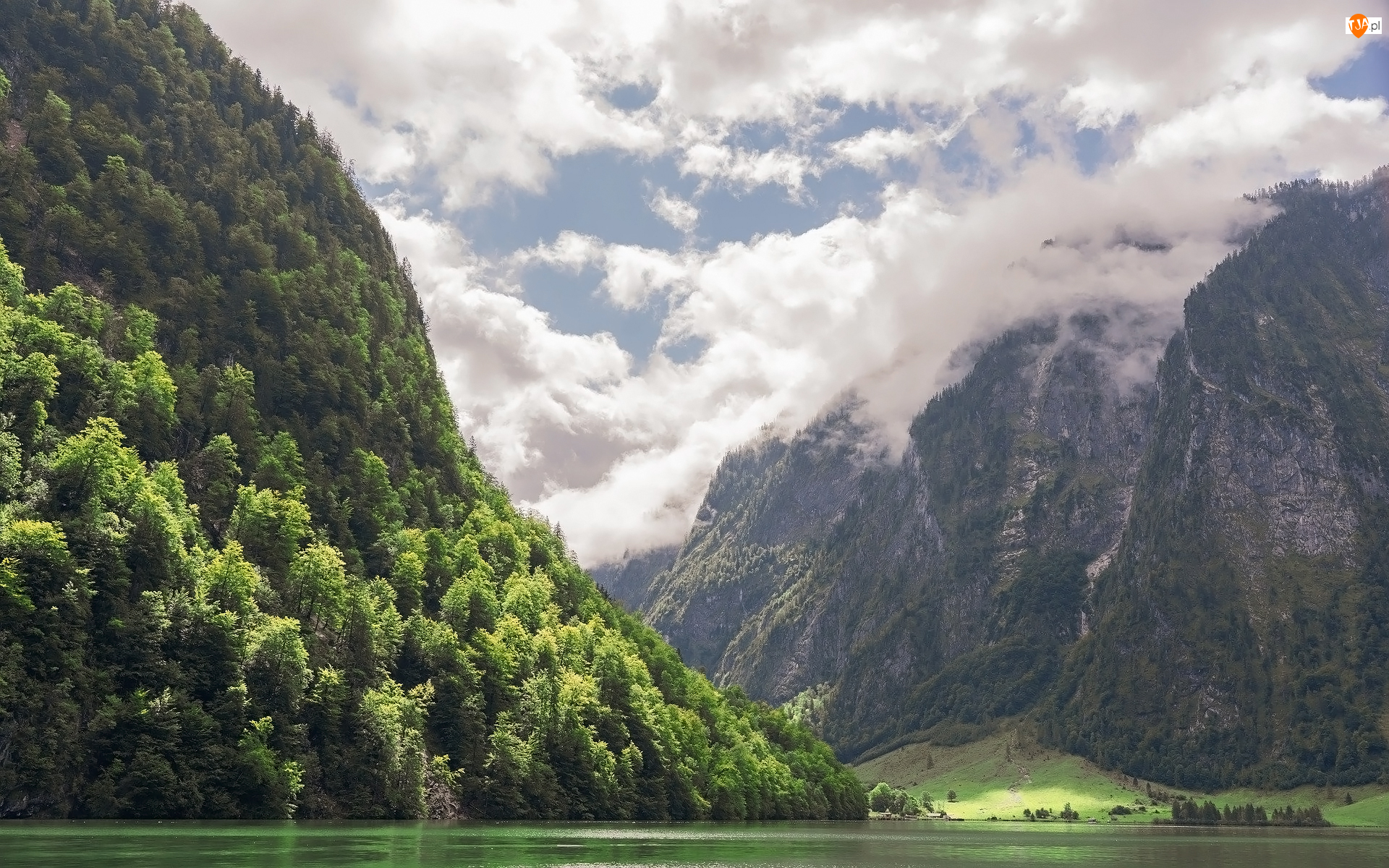 Góry, Alpy Berchtesgadeńskie, Niemcy, Park Narodowy Berchtesgaden, Bawaria, Jezioro Konigssee, Drzewa