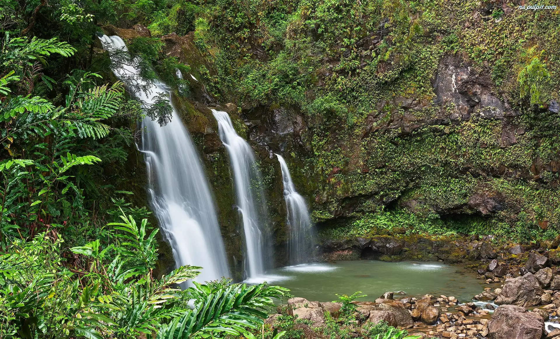 Wodospad Upper Waikani Falls, Skały, Hawaje, Las, Maui, Roślinność, Drzewa