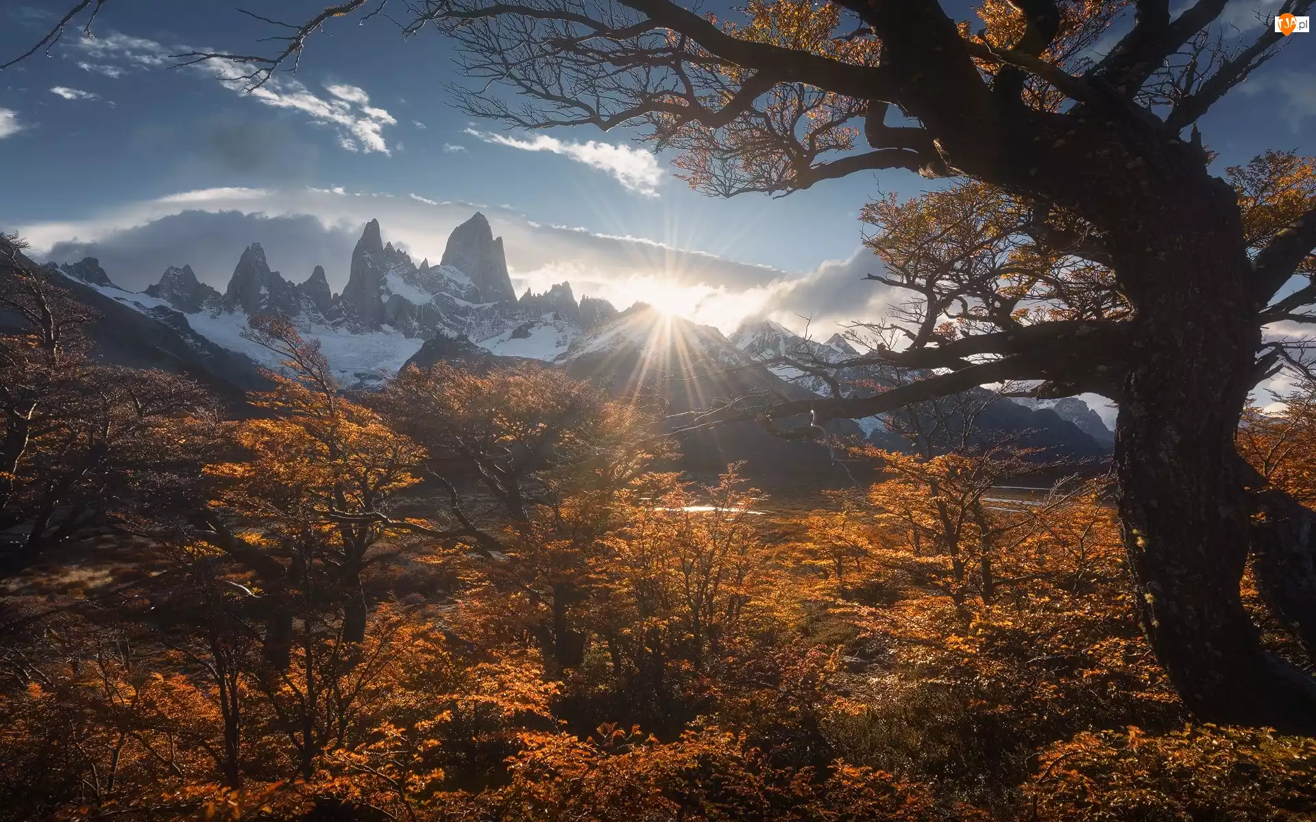 Chmury, Krzewy, Jesień, Drzewa, Patagonia, Argentyna, Szczyt, Góry, Fitz Roy, Promienie słońca