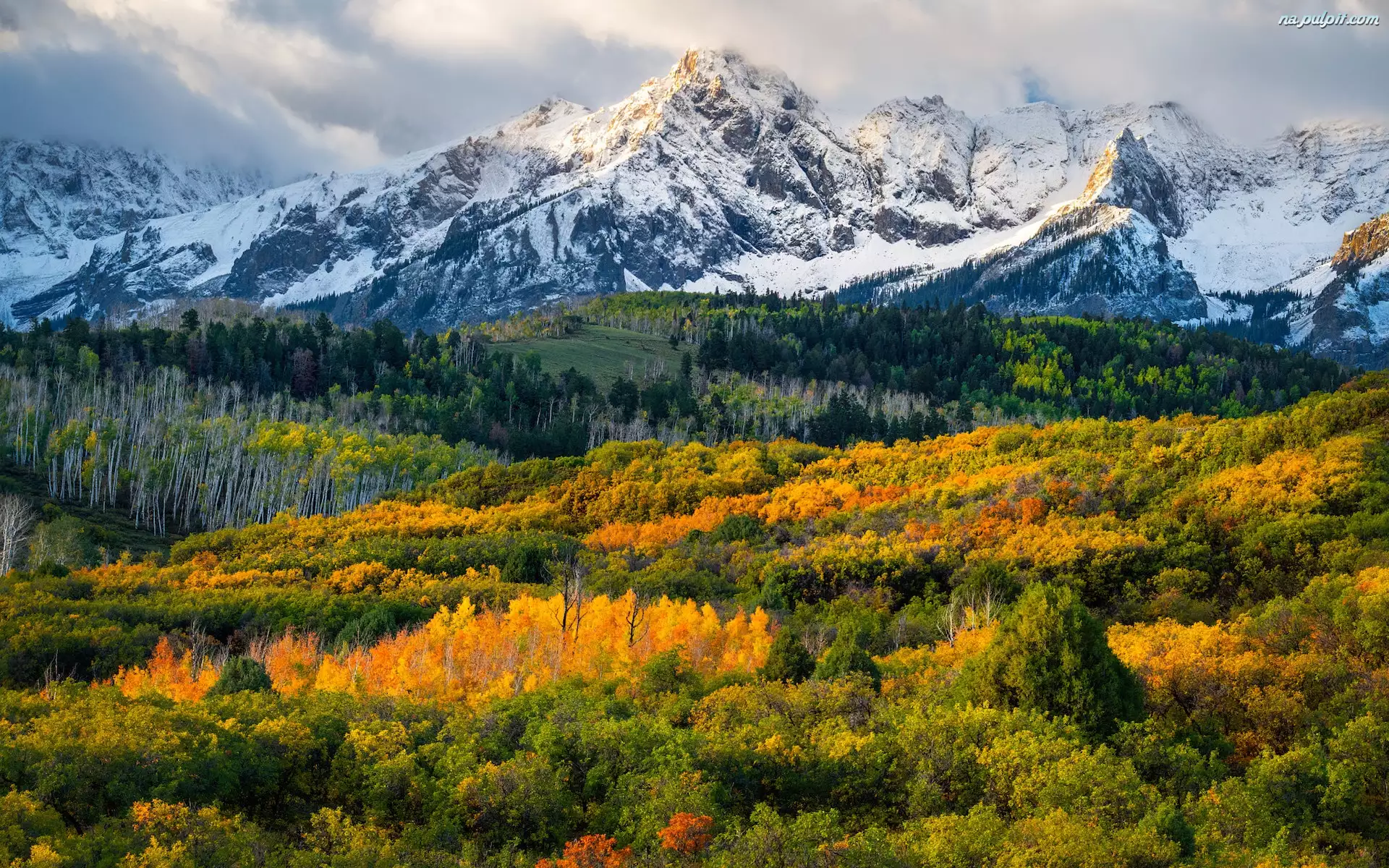 Góry Skaliste, Lasy, Kolorado, Stany Zjednoczone, Jesień