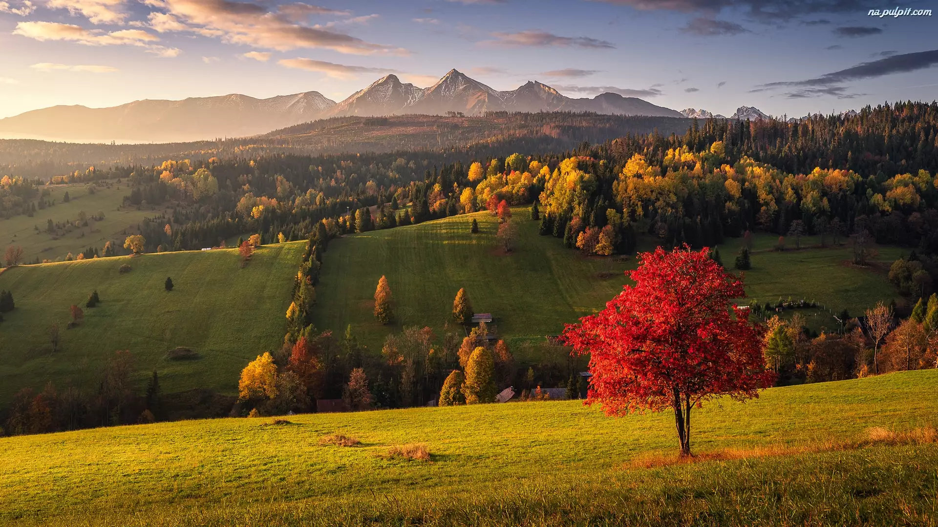 Drzewa, Góry, Słowacja, Jesień, Zamagurze, Wzgórza, Lasy