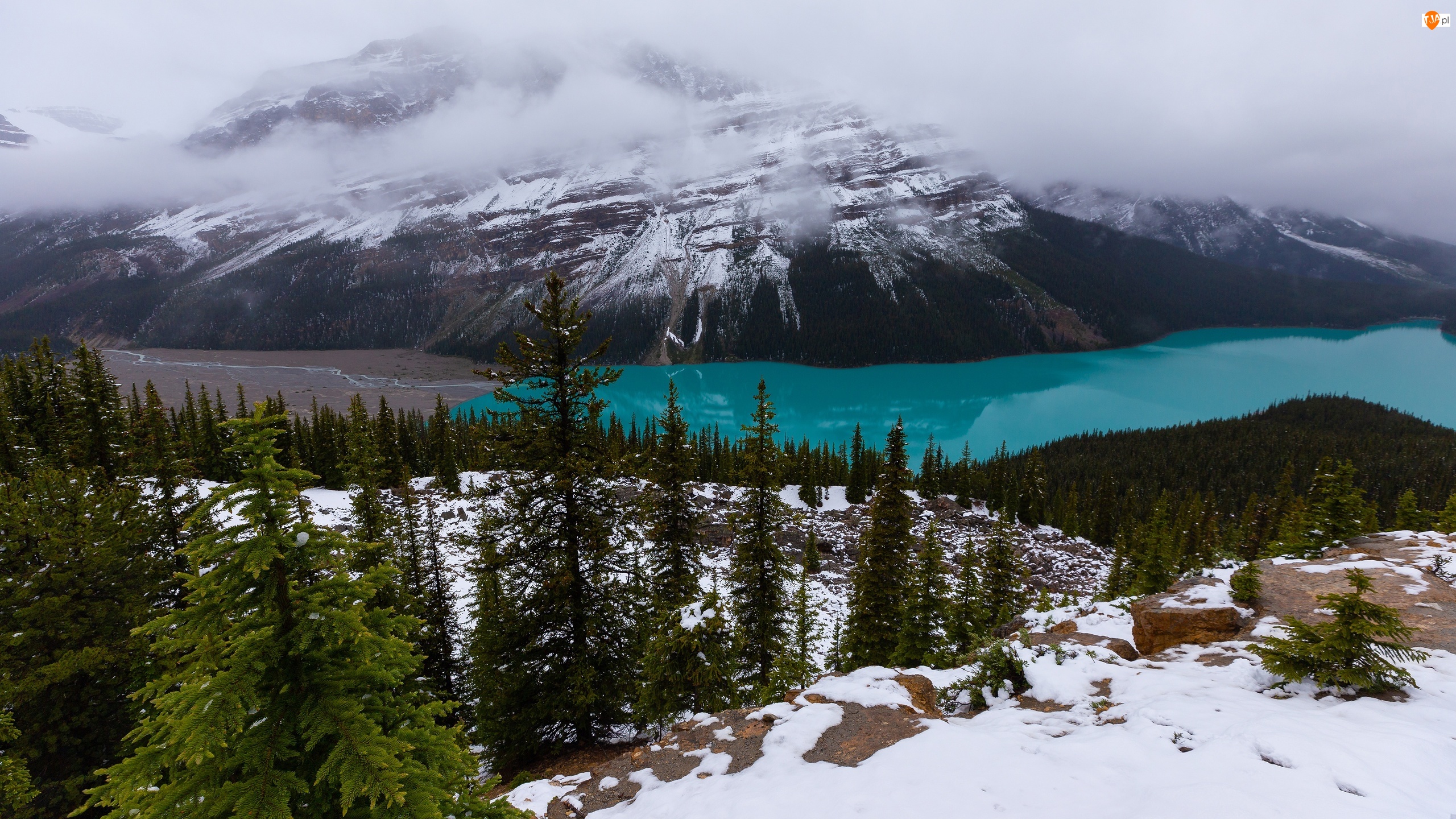 Kanada, Jezioro, Alberta, Drzewa, Śnieg, Peyto Lake, Góry, Park Narodowy Banff, Lasy