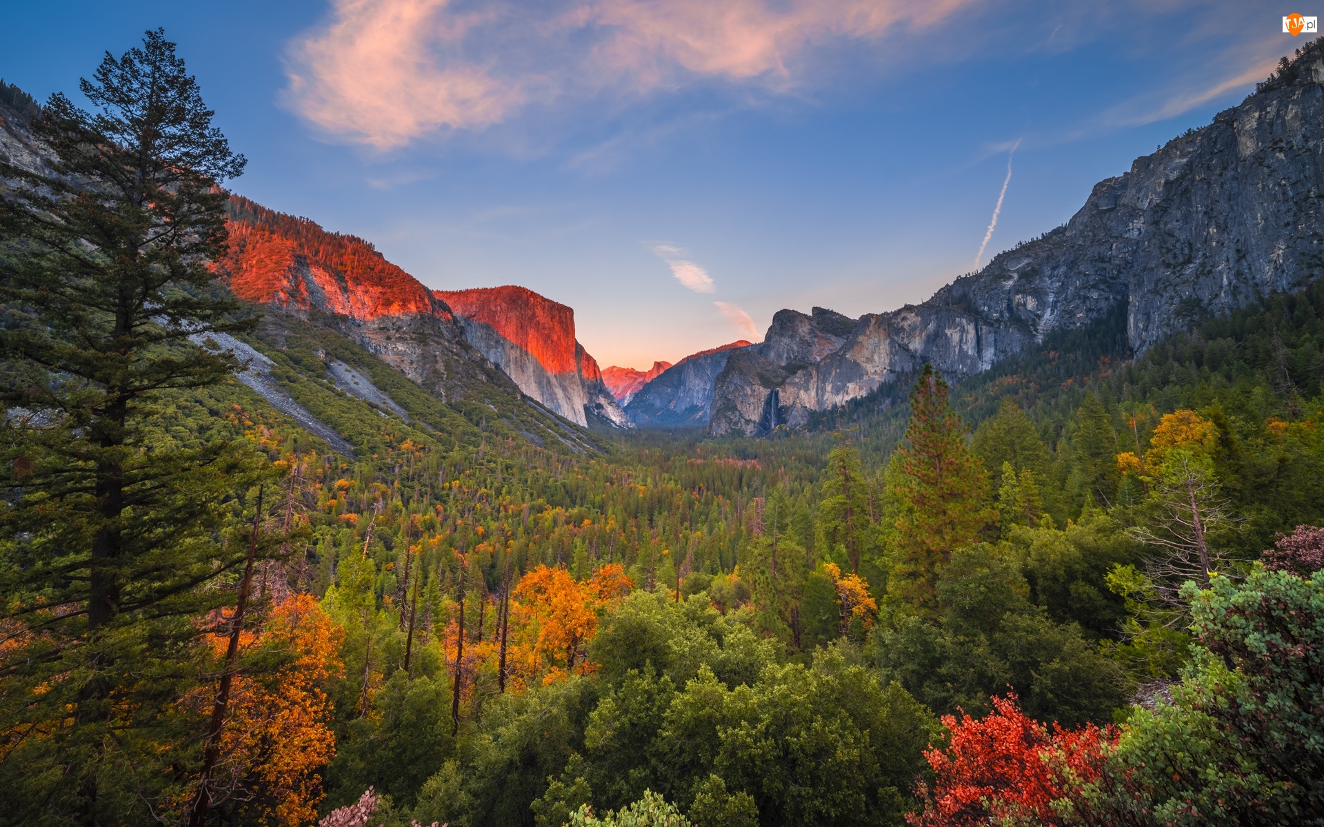 Las, Kalifornia, Drzewa, Dolina, Jesień, Park Narodowy Yosemite, Góry, Stany Zjednoczone, Yosemite Valley