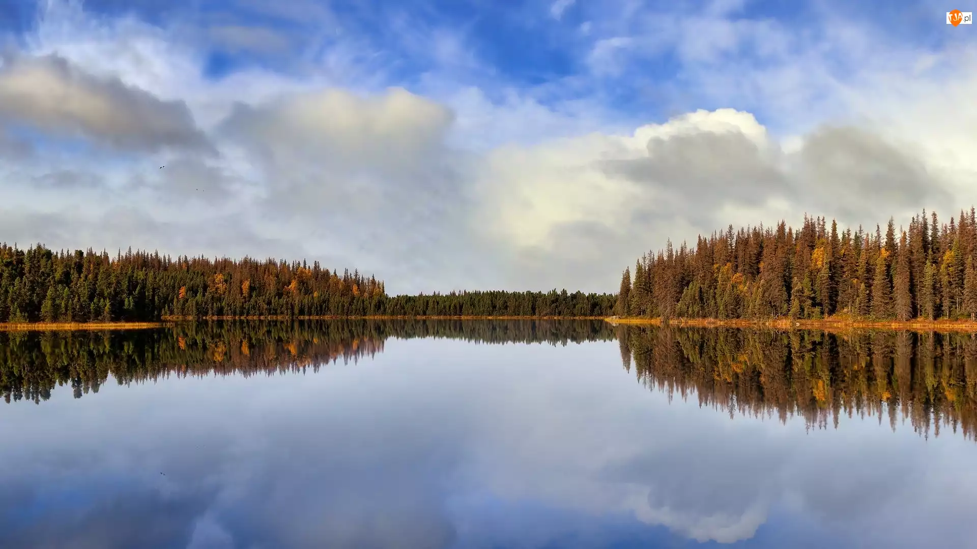 Jezioro, Twelvemile Lake, Stany Zjednoczone, Jesień, Alaska, Odbicie, Drzewa