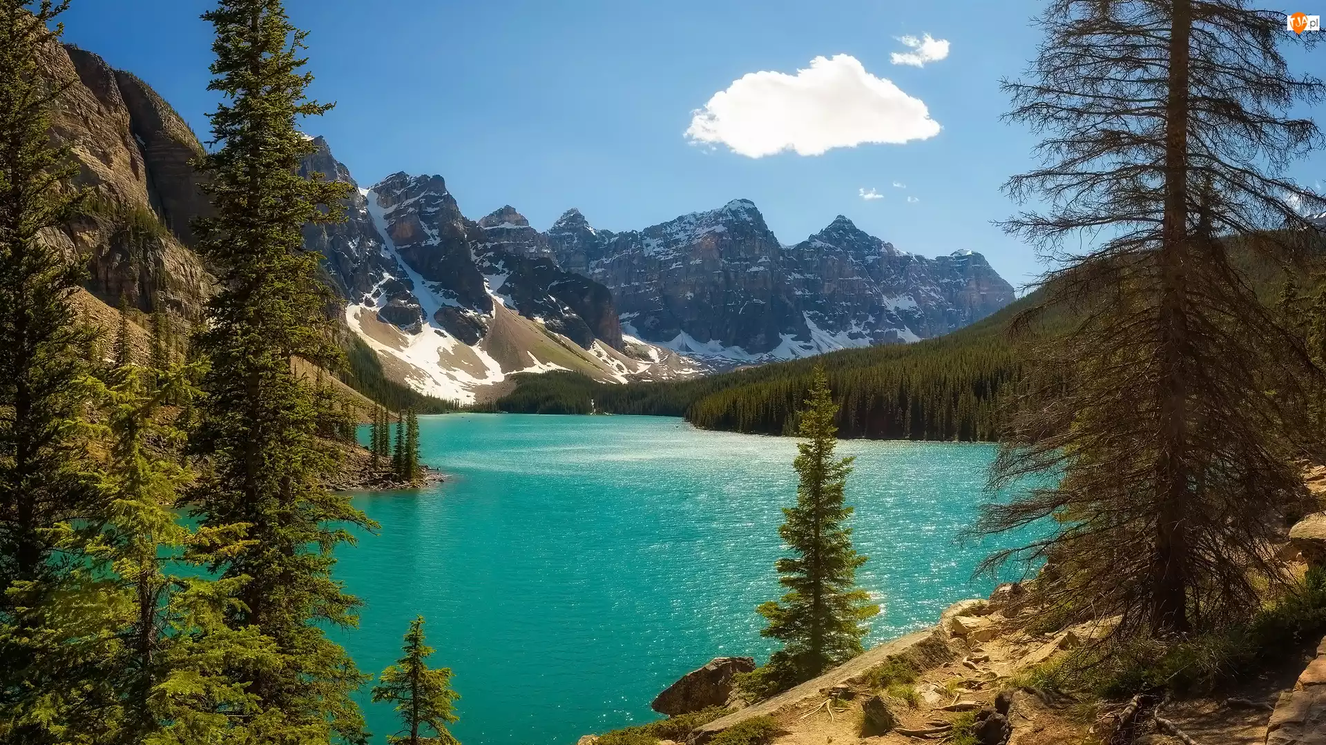 Drzewa, Jezioro, Kanada, Góry, Alberta, Park Narodowy Banff, Moraine Lake