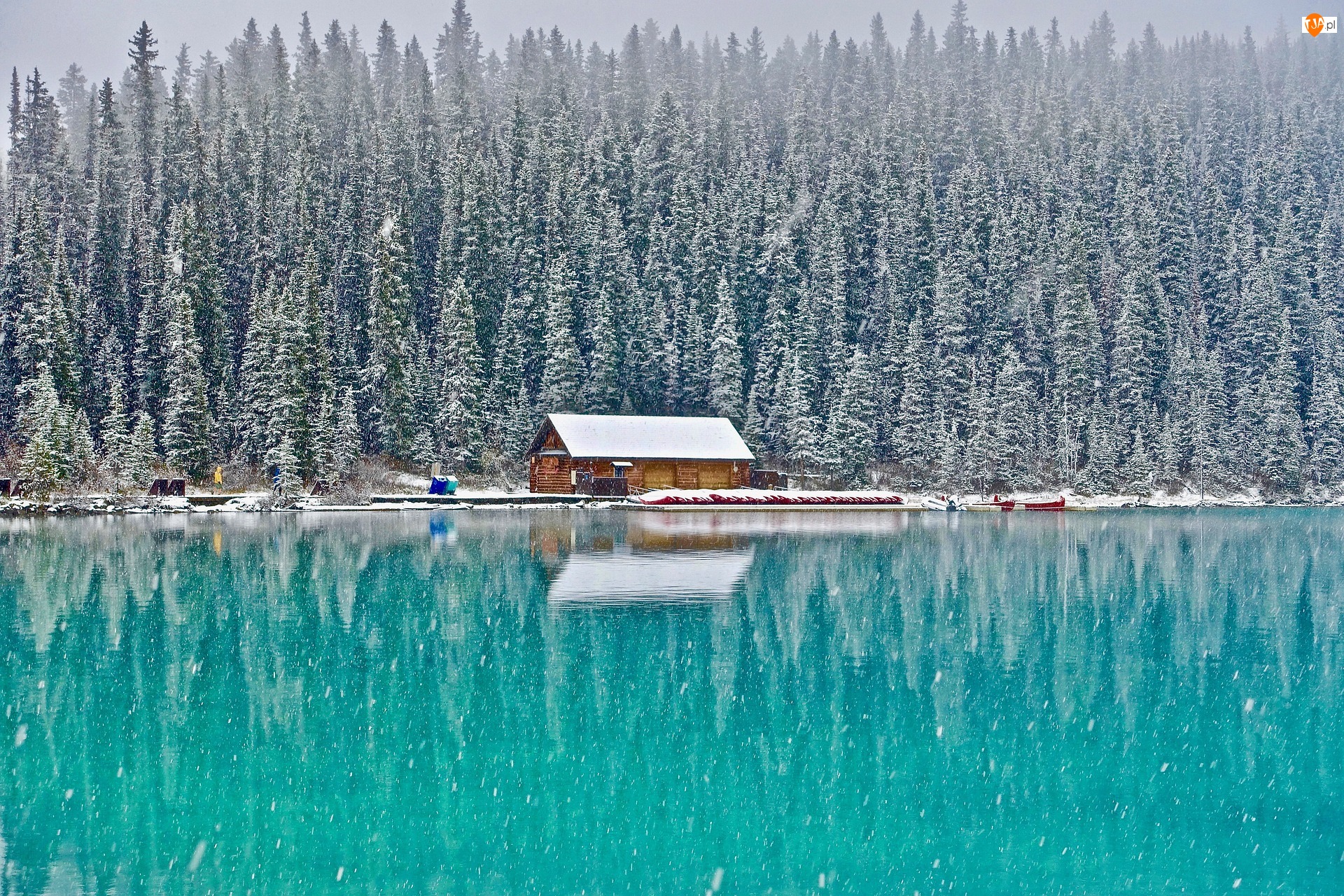 Kanada, Dom, Alberta, Louise Lake, Park Narodowy Banff, Drzewa, Las, Zima, Jezioro