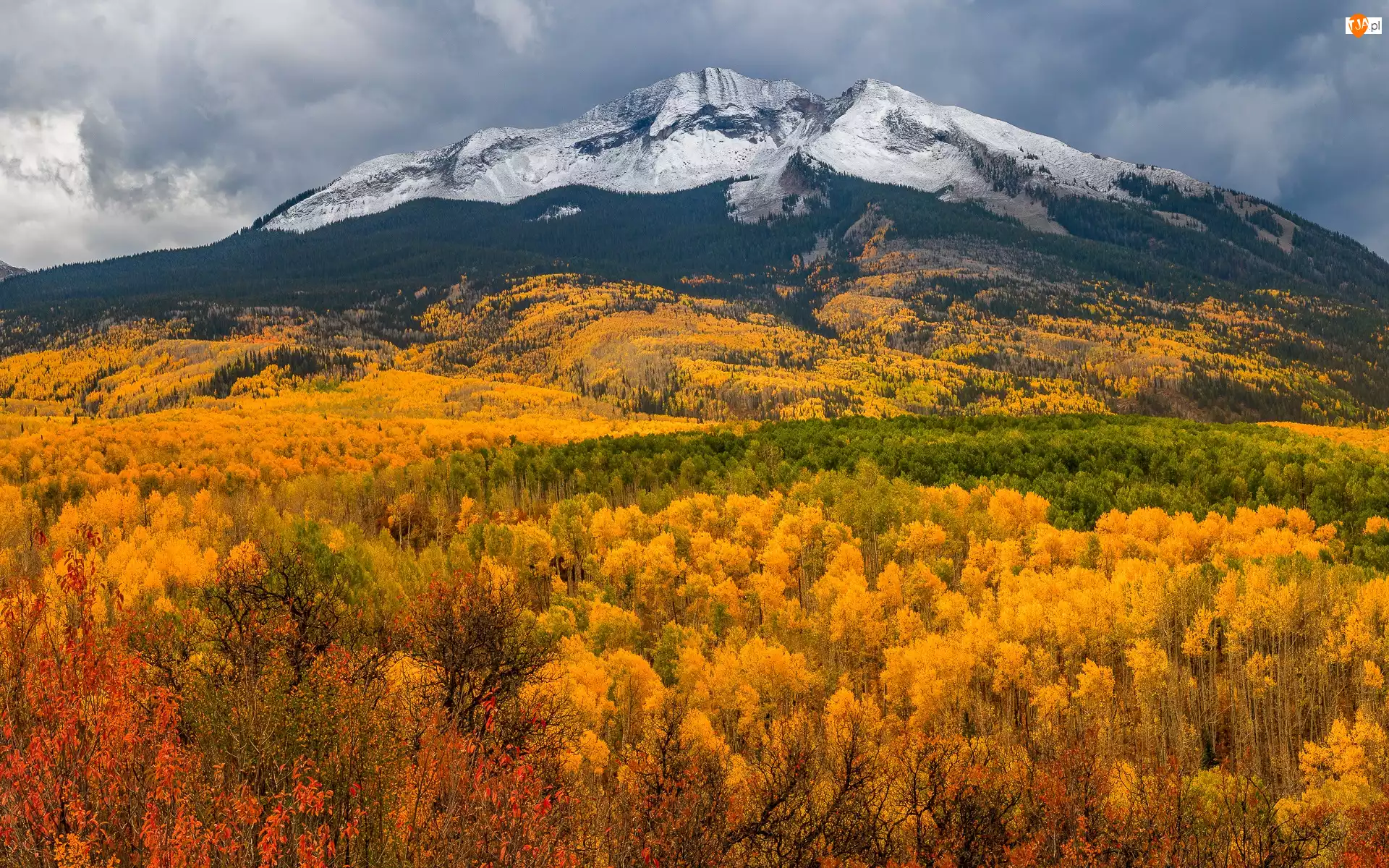 Lasy, Stany Zjednoczone, Kebler Pass, Drzewa, Kolorado, Góry, Jesień, Przełęcz