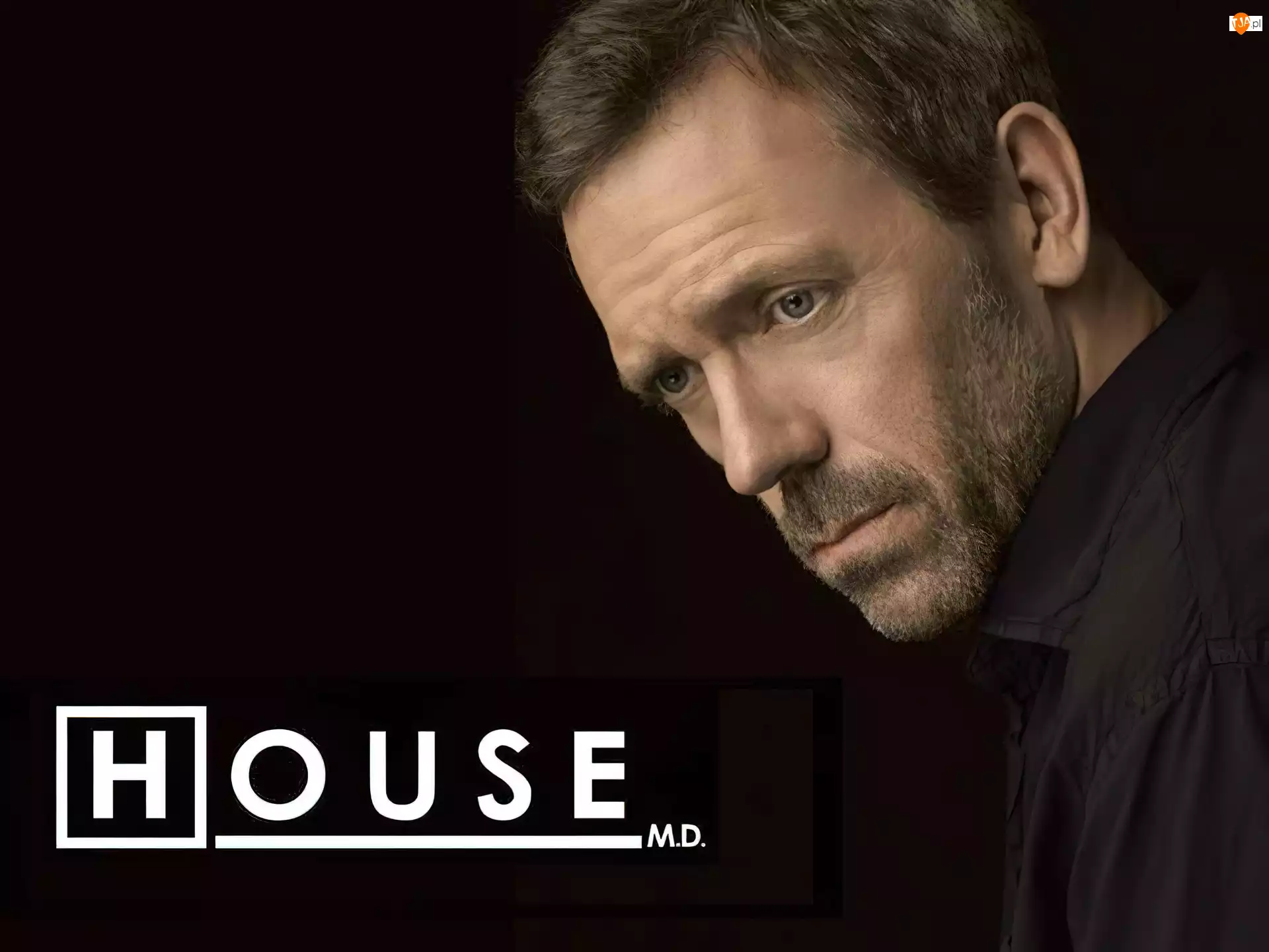 Hugh Laurie, Dr. House