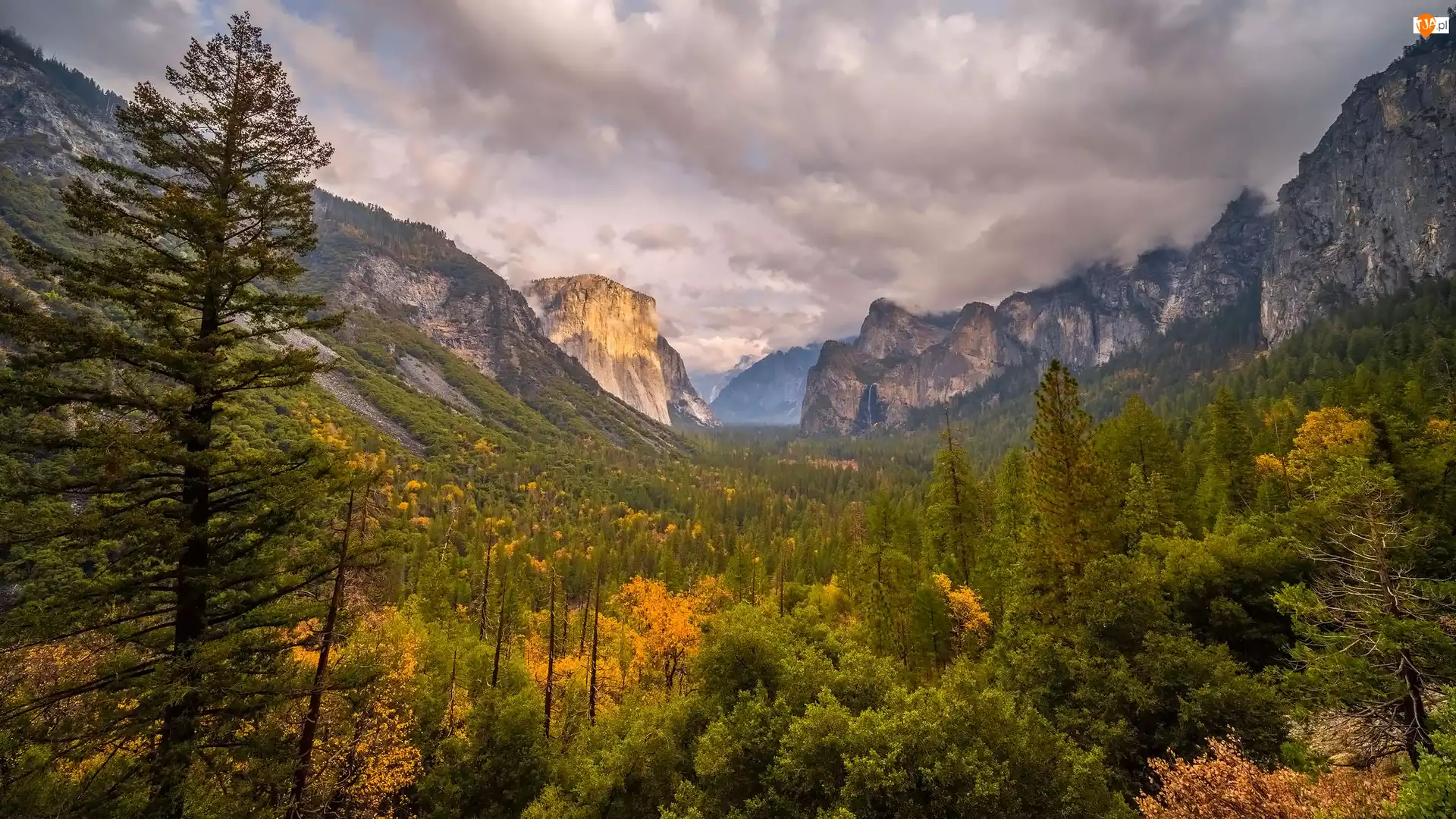 Góry, Drzewa, Park Narodowy Yosemite, Stany Zjednoczone, Chmury, Kalifornia