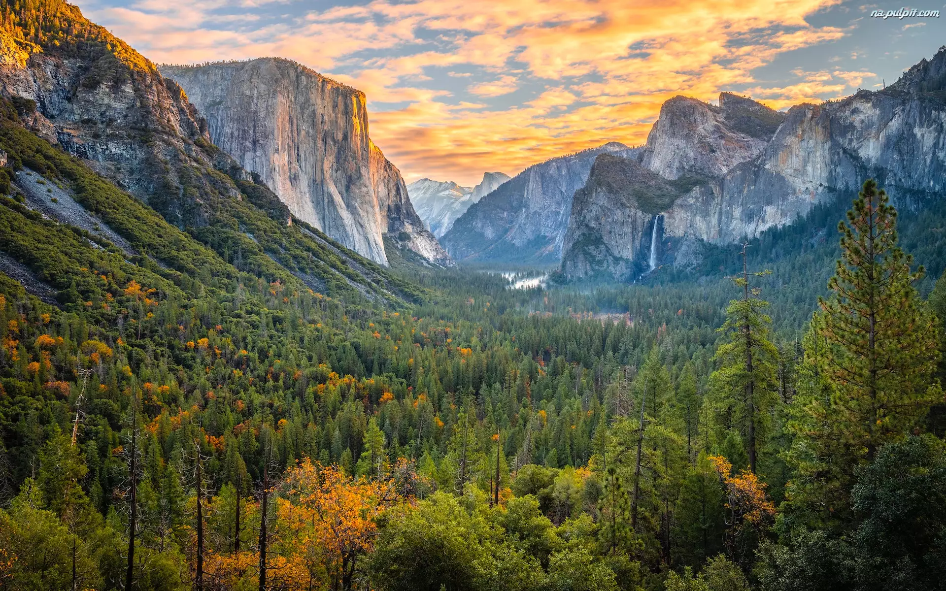 Park Narodowy Yosemite, Drzewa, Kalifornia, Stany Zjednoczone, Góry