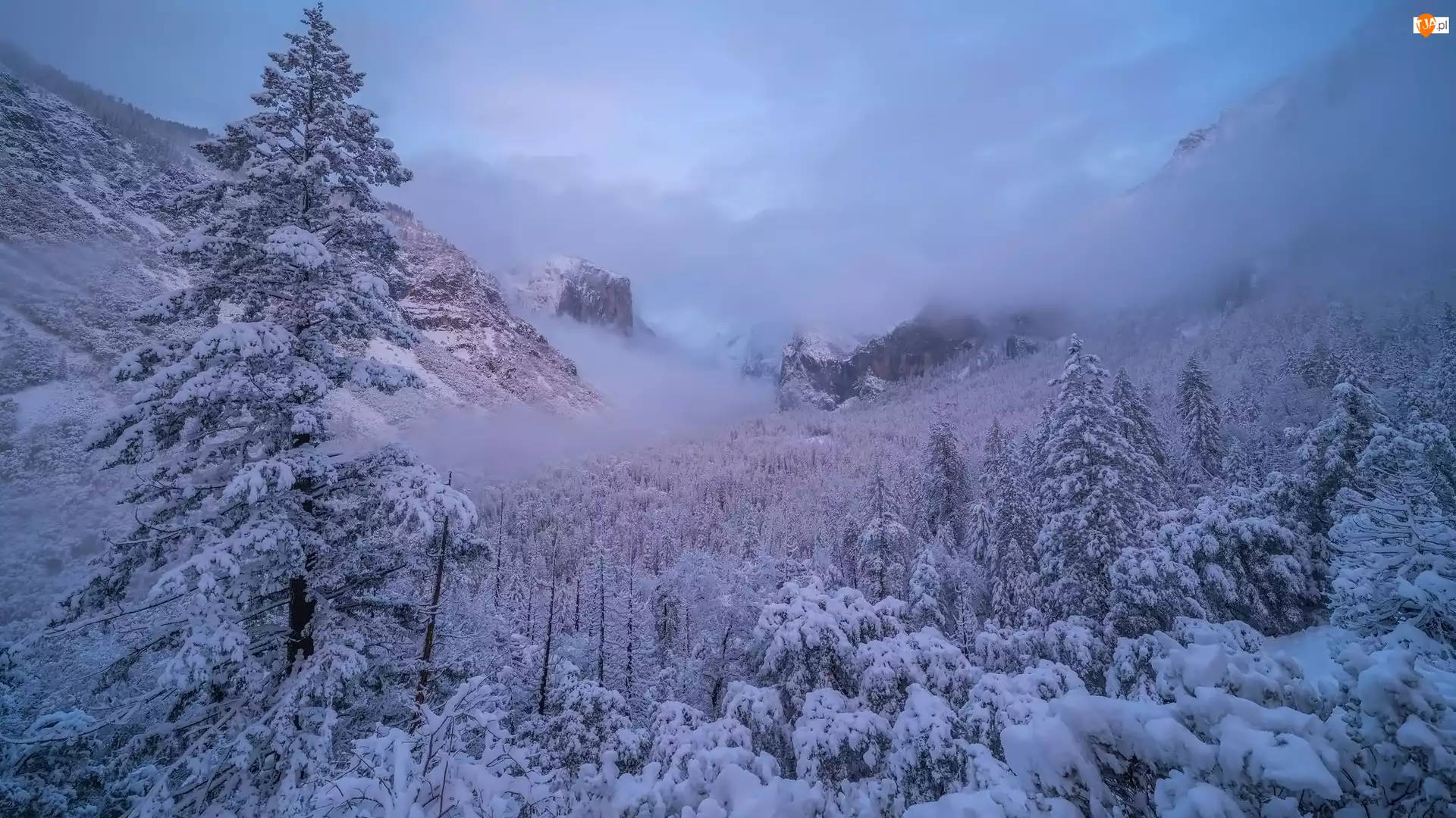 Park Narodowy Yosemite, Zima, Drzewa, Kalifornia, Śnieg, Mgła, Stany Zjednoczone, Góry