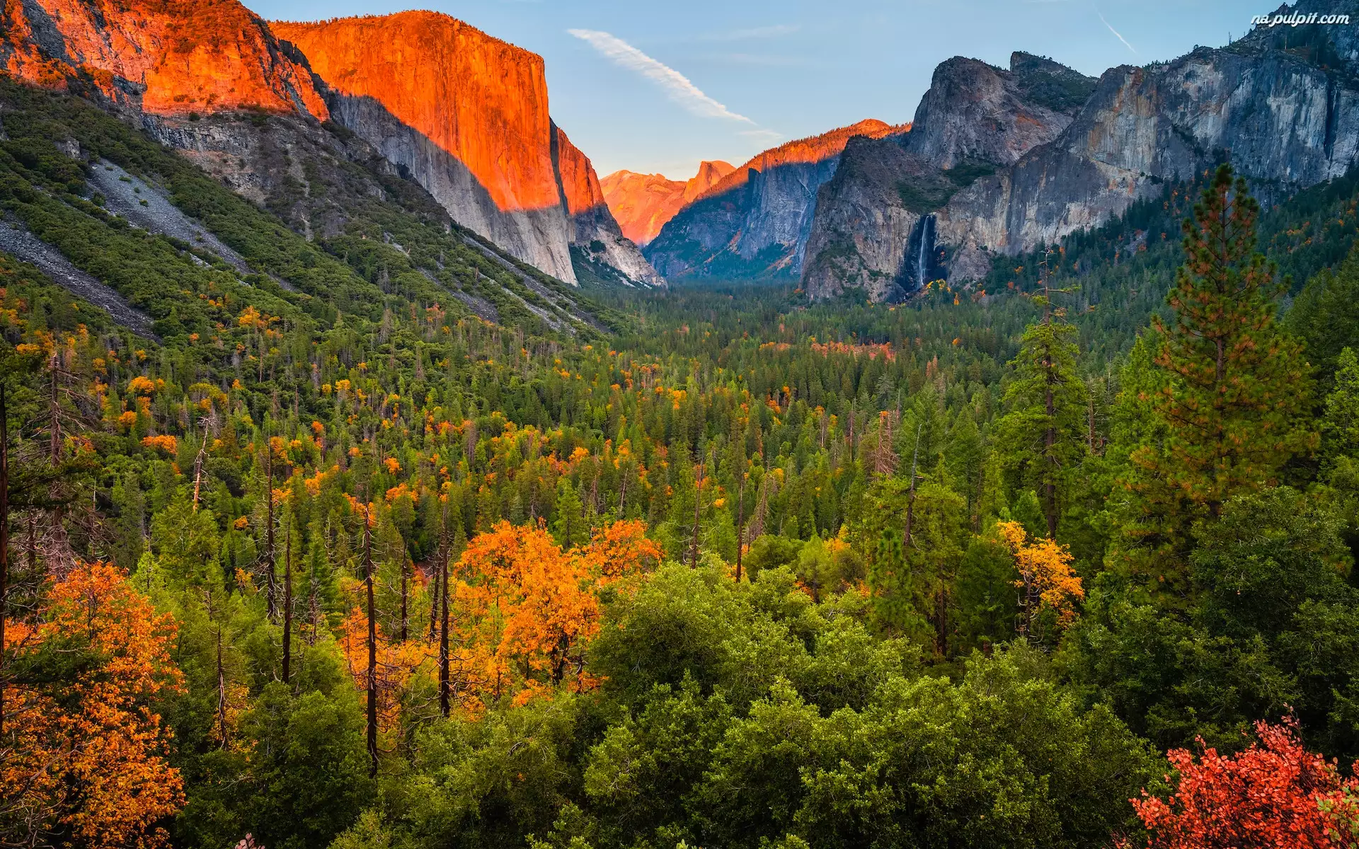 Las, Kalifornia, Drzewa, Yosemite Valley, Jesień, Park Narodowy Yosemite, Góry, Stany Zjednoczone, Dolina