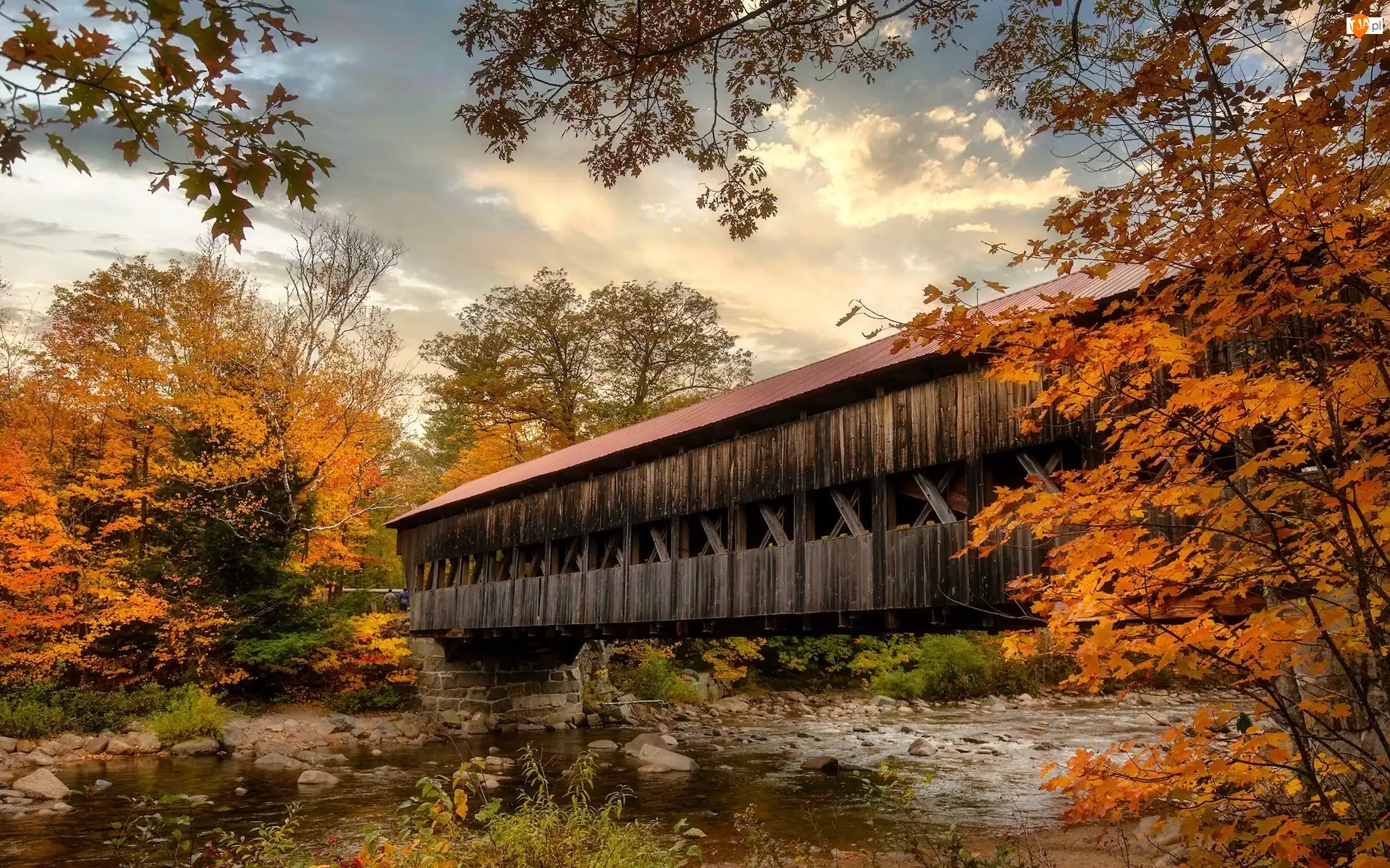 Stan New Hampshire, Stany Zjednoczone, Most kryty, Drzewa, Rzeka, Albany Covered Bridge