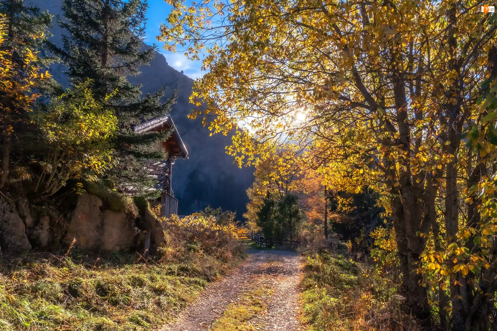 Dom, Góry, Ścieżka, Jesień, Drzewa