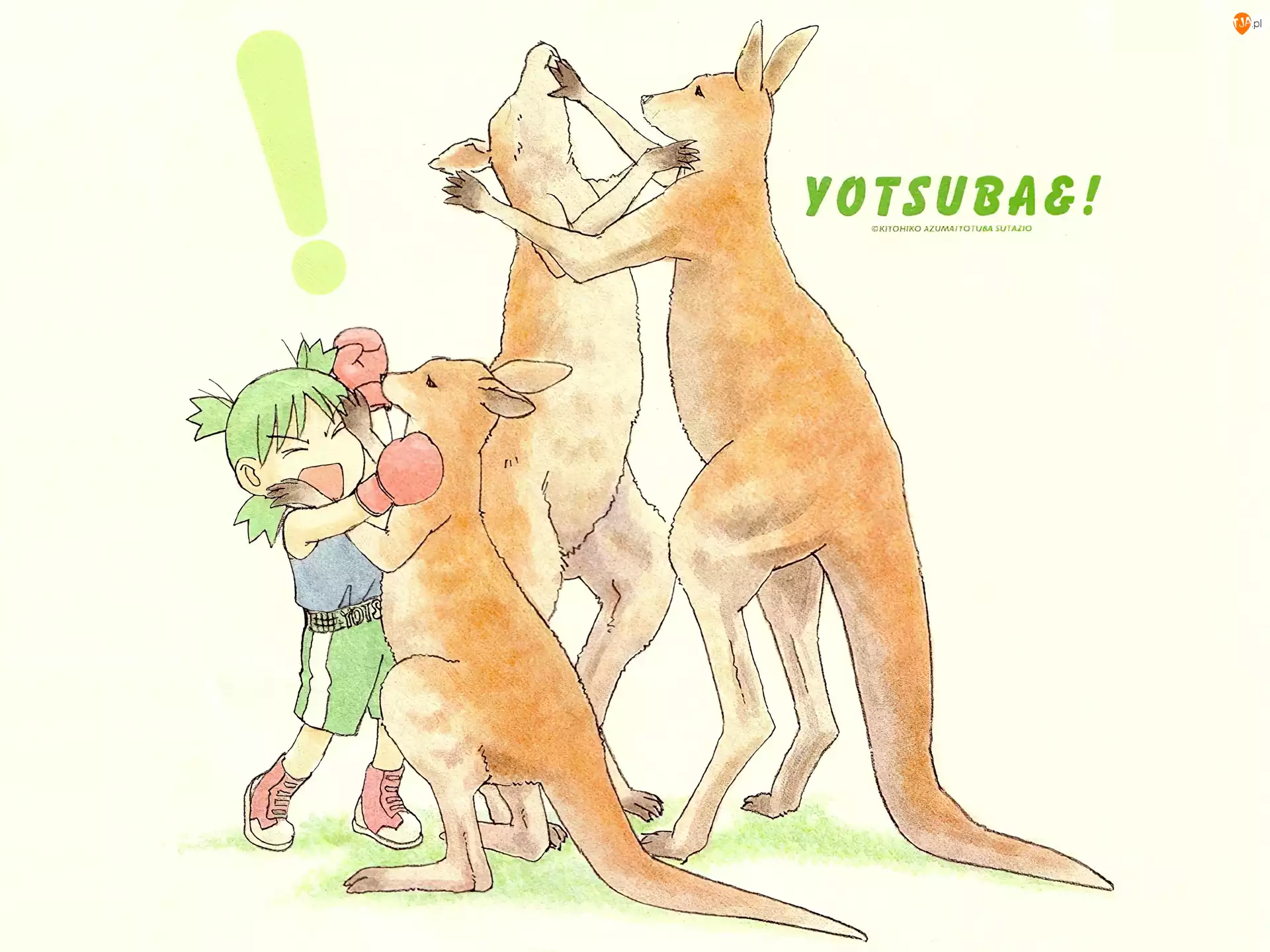 Yotsubato, kangur