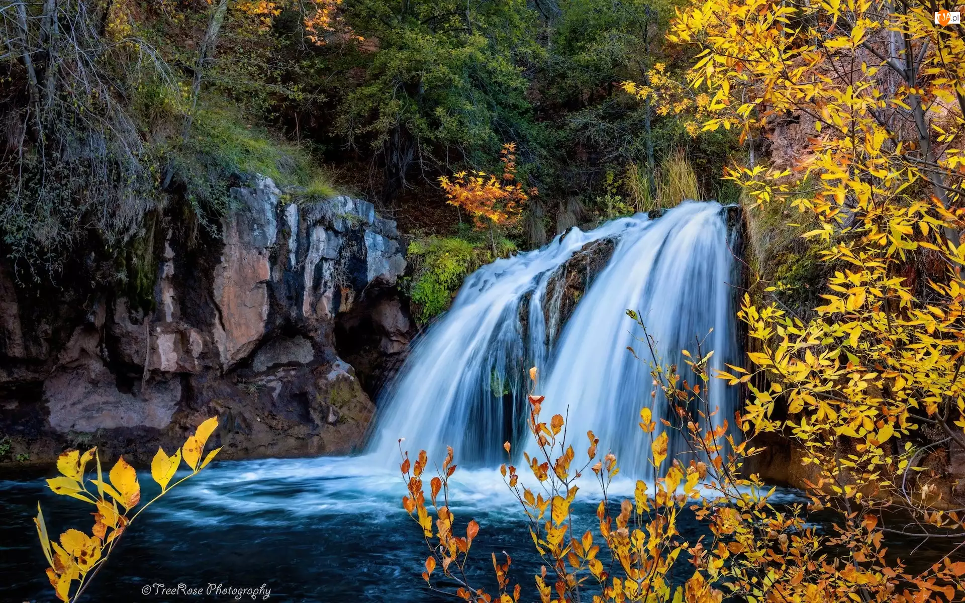 Arizona, Wodospad, Skały, Stany Zjednoczone, Drzewa, Jesień, Fossil Creek Falls