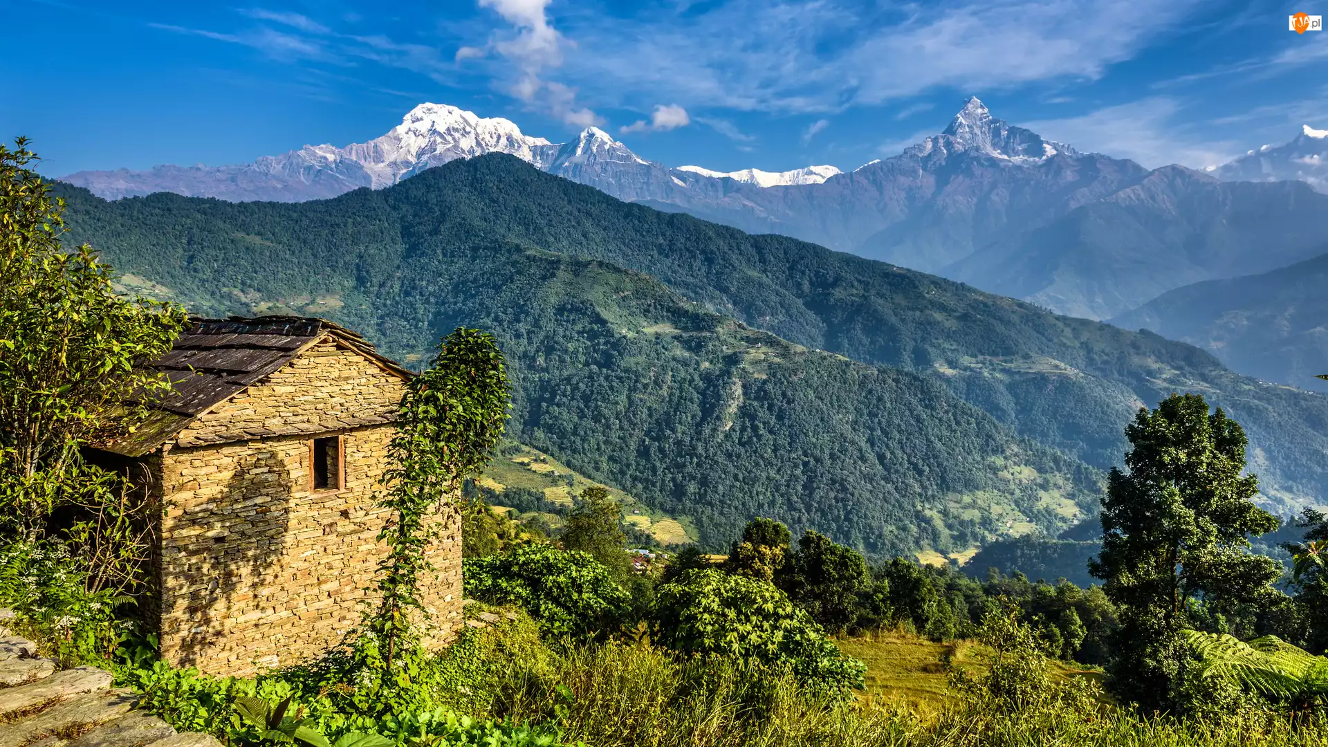 Dom, Nepal, Himalaje, Góry, Drzewa