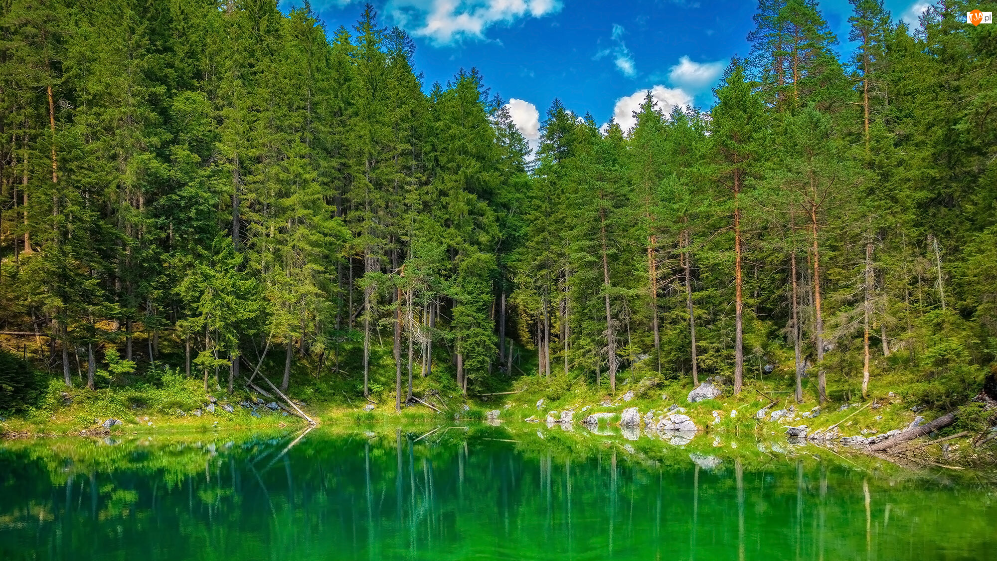 Eibsee Lake, Niemcy, Jezioro, Drzewa, Bawaria