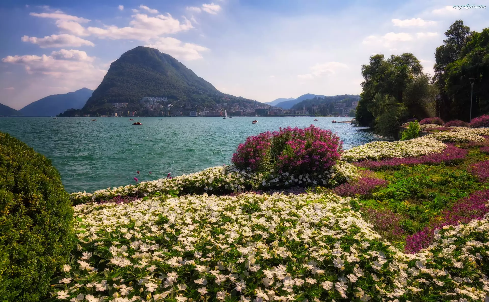 Jezioro Lugano, Kwiaty, Alpy, Szwajcaria, Góry, Parco Ciani