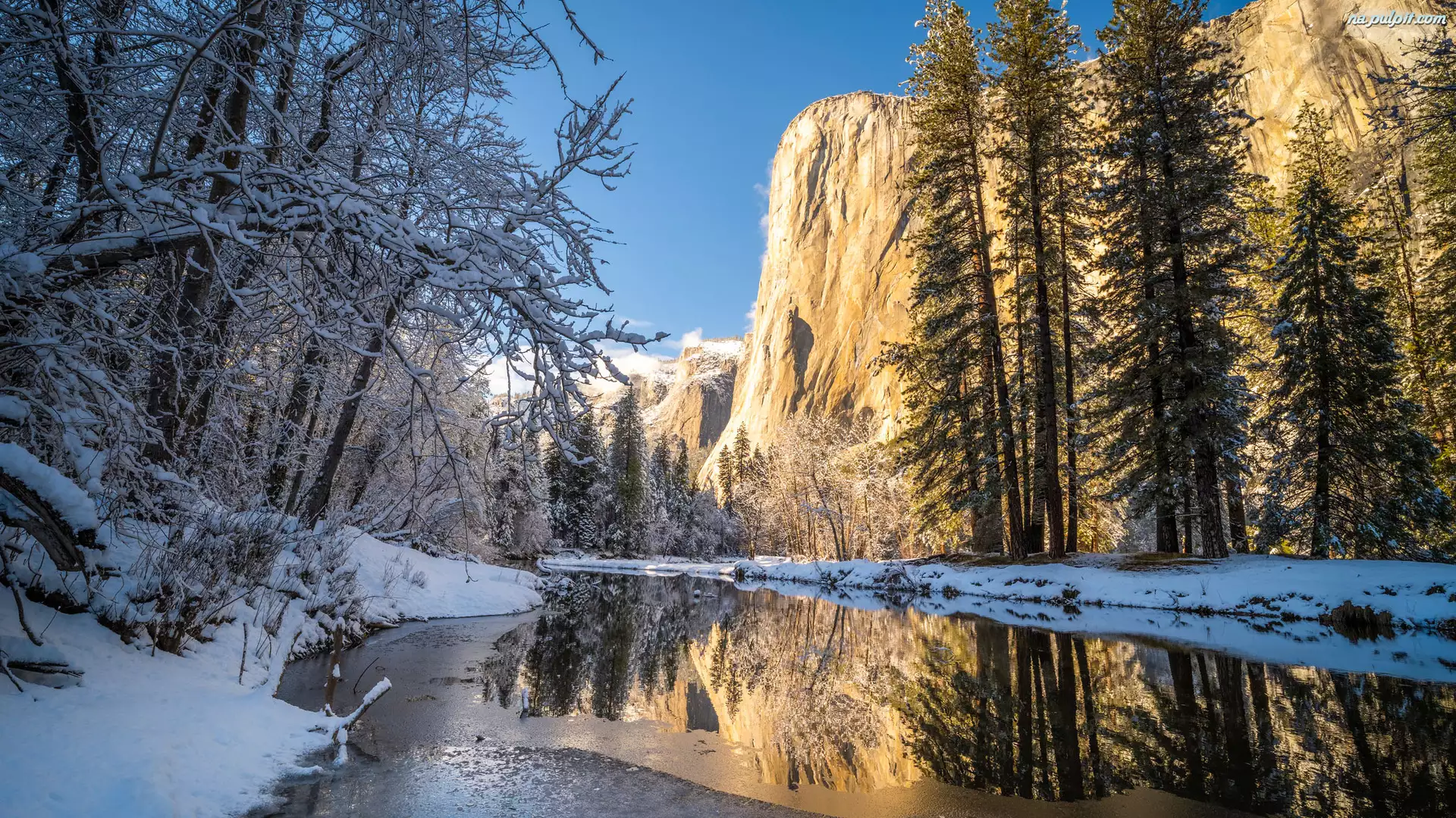 Drzewa, Rzeka, Stany Zjednoczone, Zima, Kalifornia, Park Narodowy Yosemite, Merced