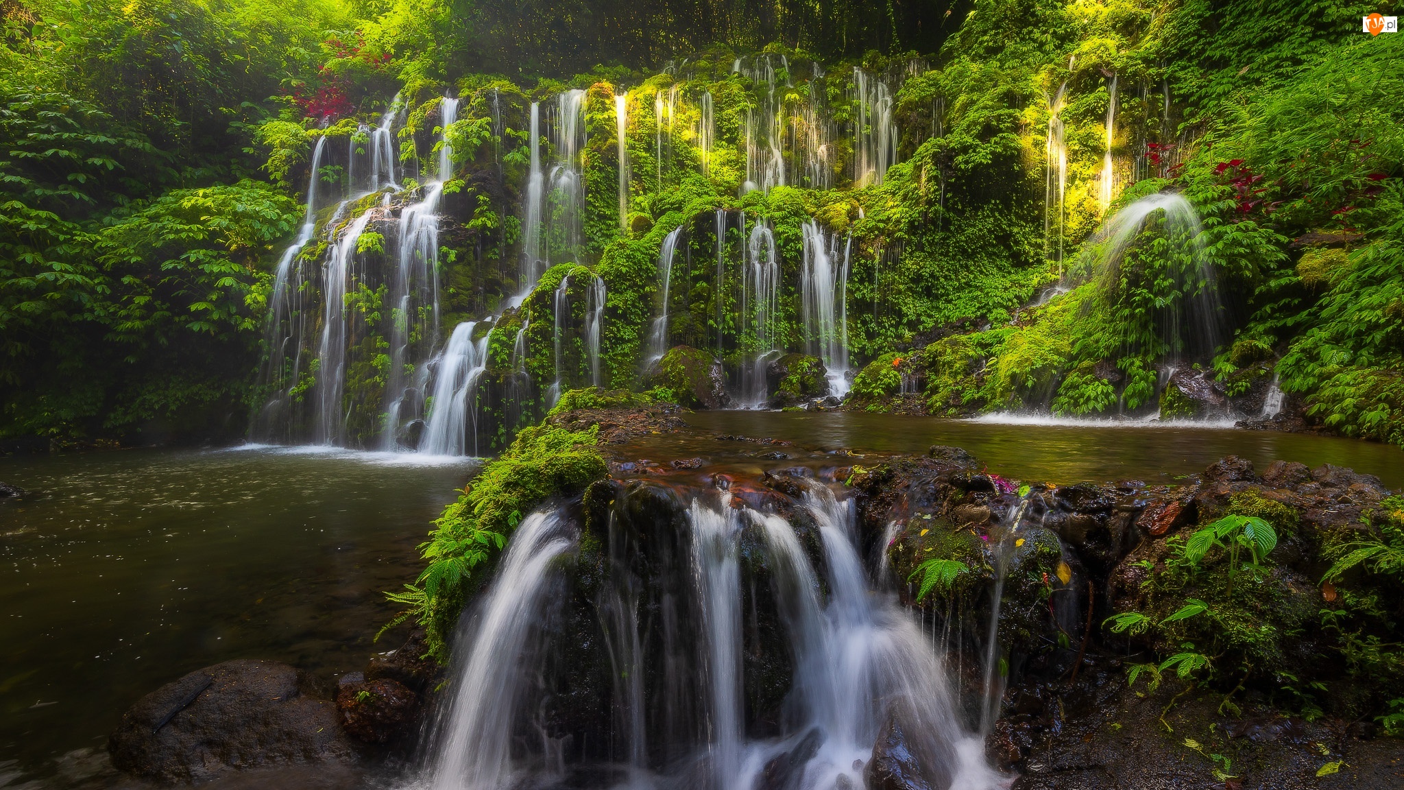 Banyu Wana Amertha Falls, Indonezja, Las tropikalny, Roślinność, Bali, Wodospad, Skały, Okręg Buleleng
