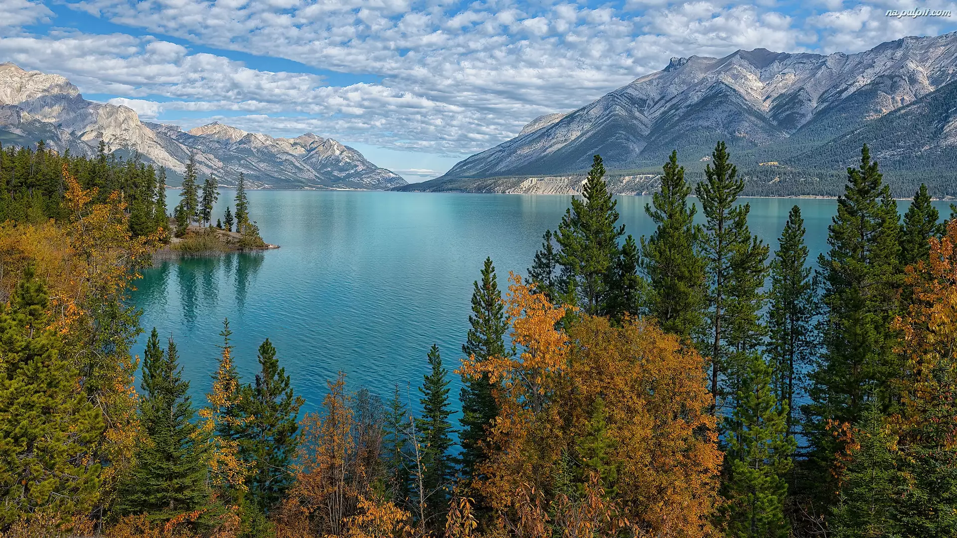 Drzewa, Góry Skaliste, Abraham Lake, Alberta, Canadian Rockies, Las, Kanada, Jezioro