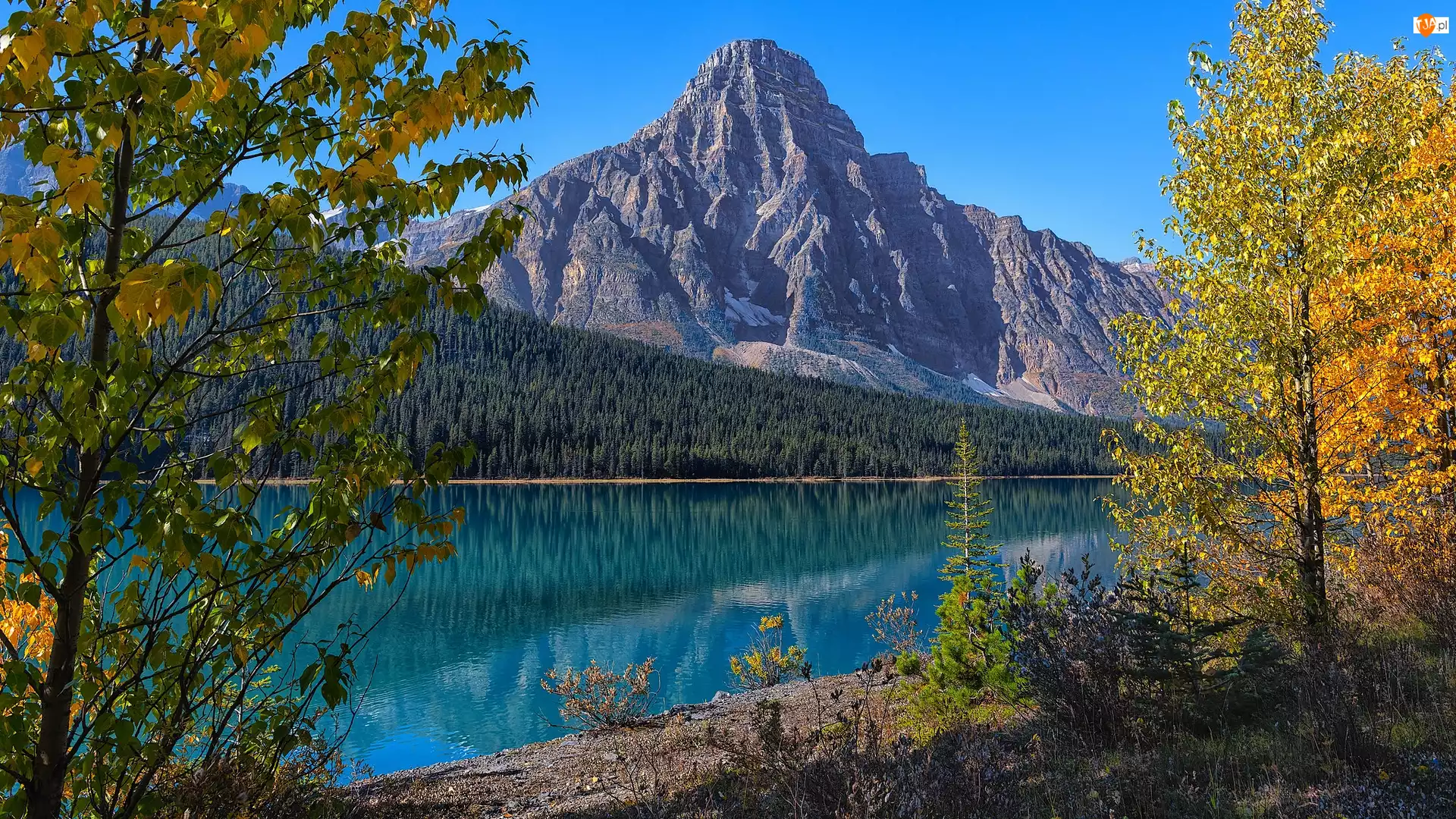 Góra, Kanada, Jezioro, Mount Chephren, Prowincja Alberta, Waterfowl Lake, Drzewa, Park Narodowy Banff