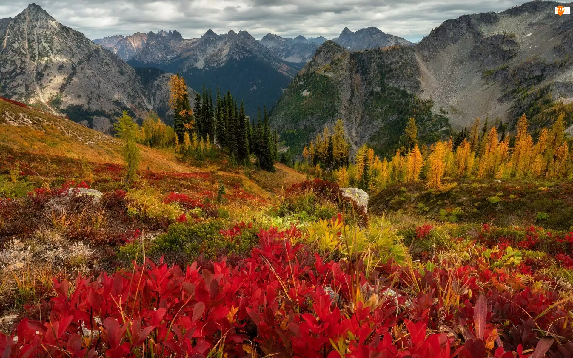 Góry Kaskadowe, Jesień, Roślinność, Stan Wyszyngton, Drzewa, Chmury, Stany Zjednoczone, Kolorowa