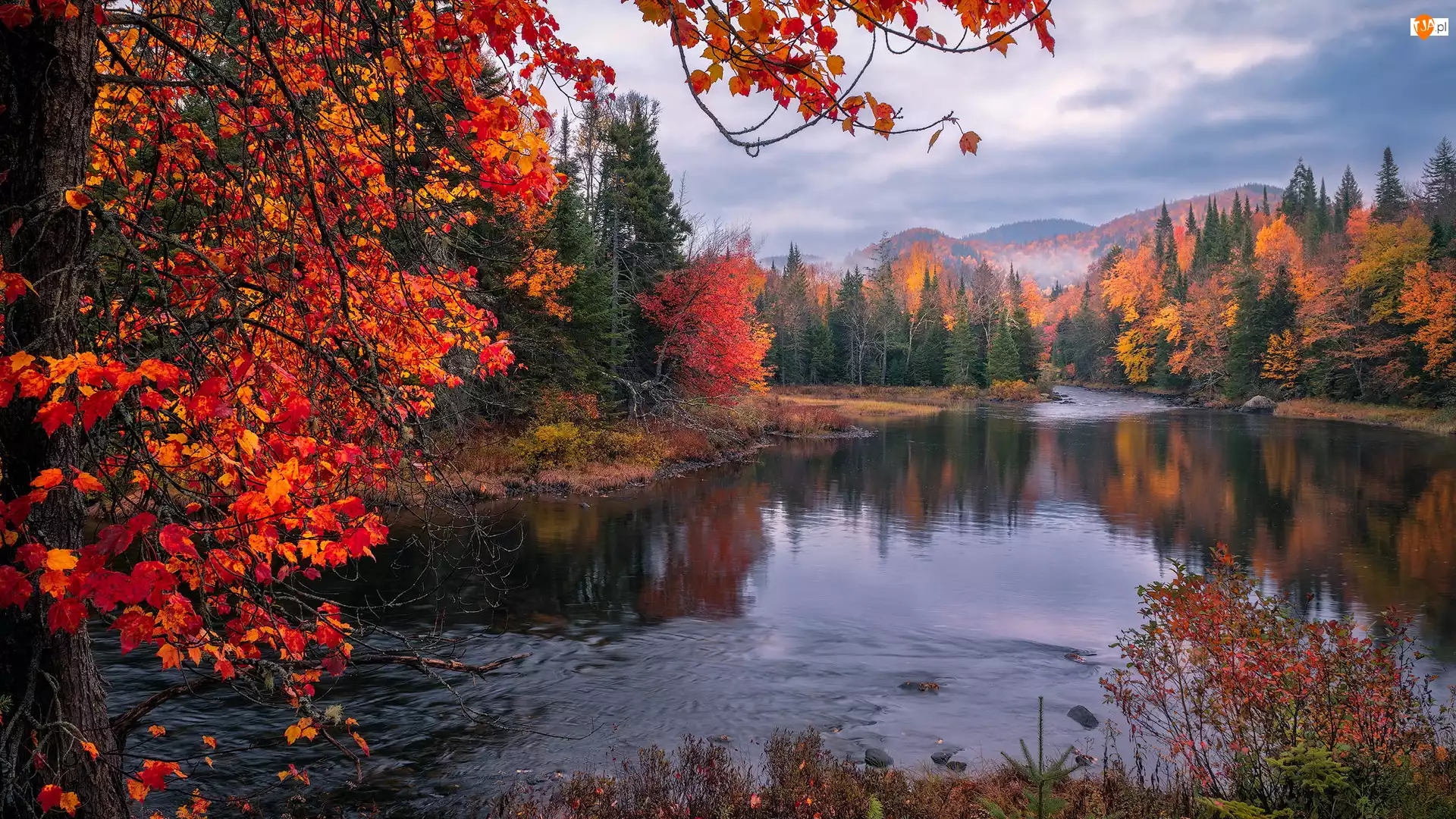 Kolorowe, Jesień, Las, Góry, Drzewa, Rzeka