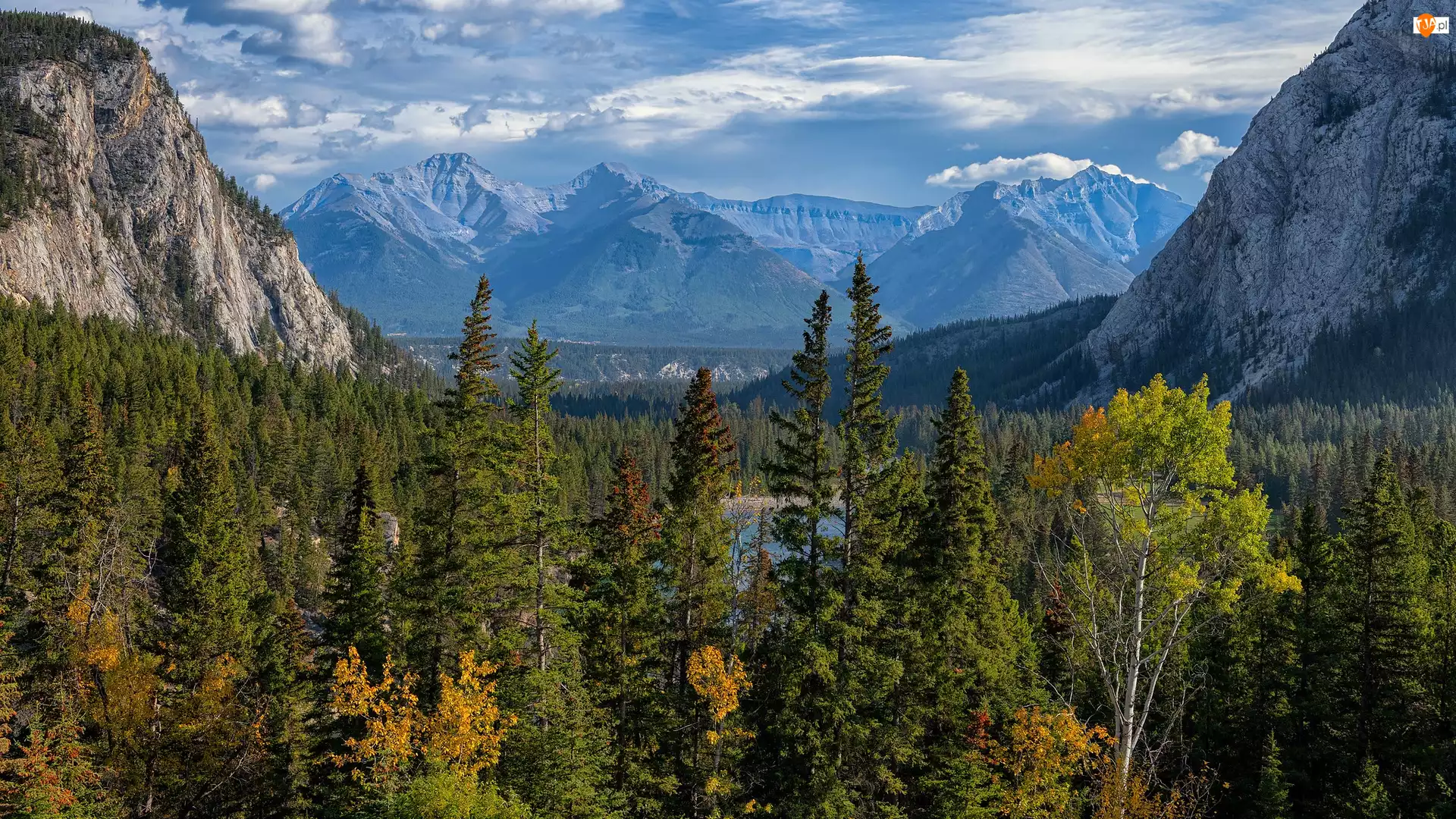Lasy, Kanada, Góry, Drzewa, Alberta, Fairholme Range, Jesień, Park Narodowy Banff