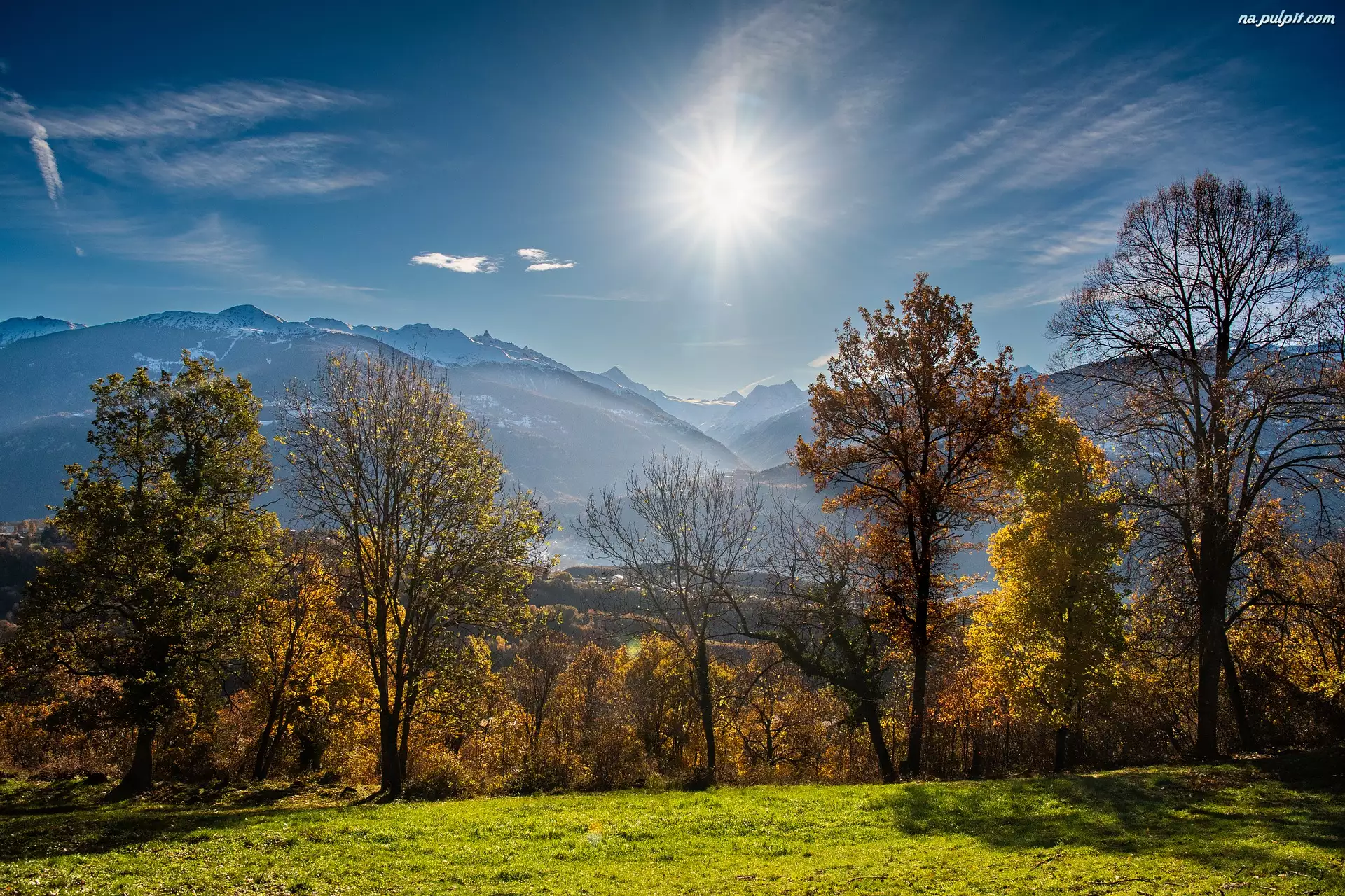 Blask, Jesień, Alpy Pennińskie, Kanton Valais, Drzewa, Słoneczny, Szwajcaria, Góry