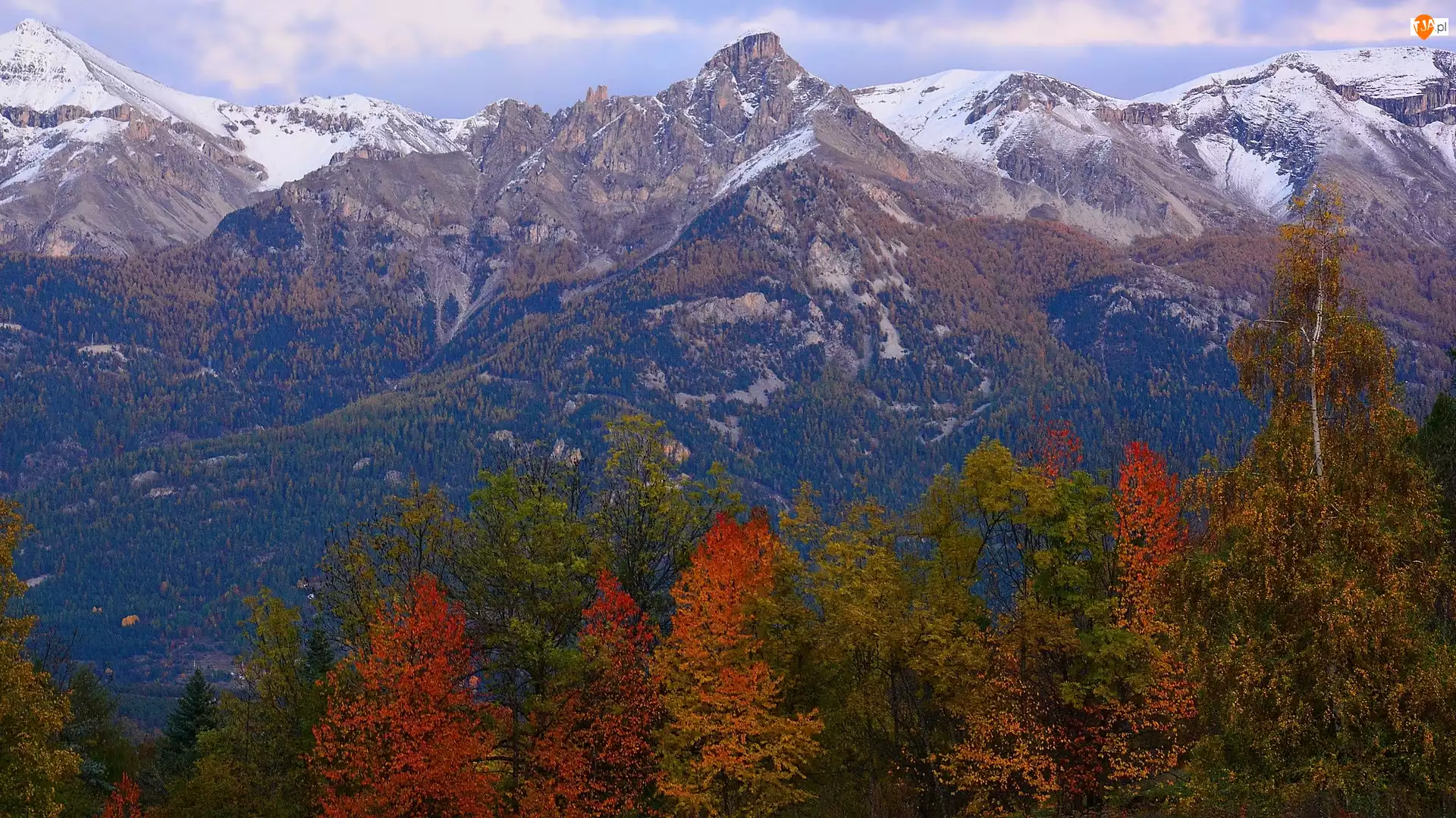 Kolorowe, Francja, Alpy, Góry, Drzewa