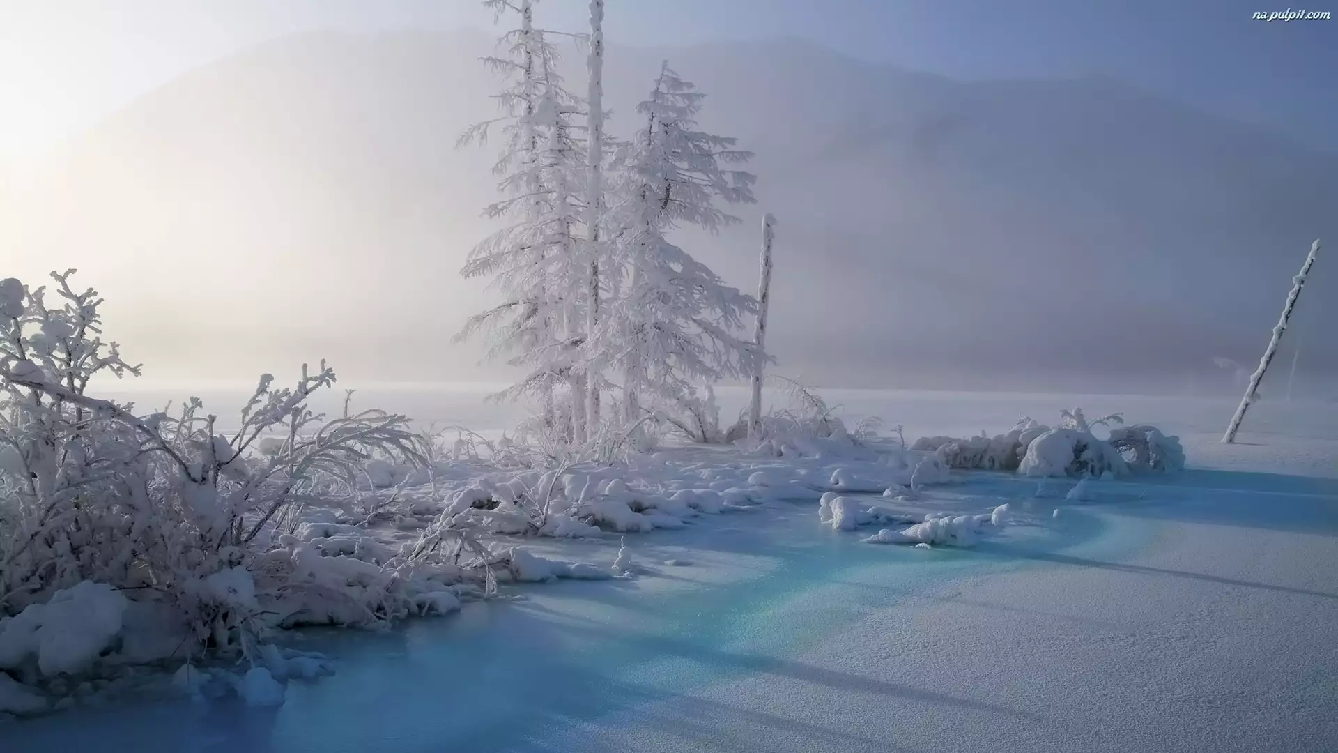 Drzewa, Mgła, Śnieg, Zima, Góry