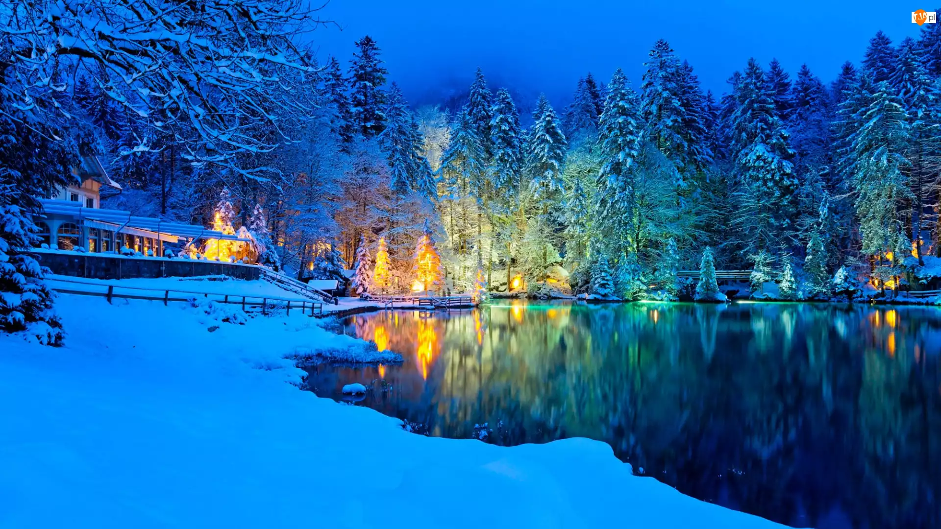Las, Zima, Śnieg, Szwajcaria, Drzewa, Jezioro Blausee