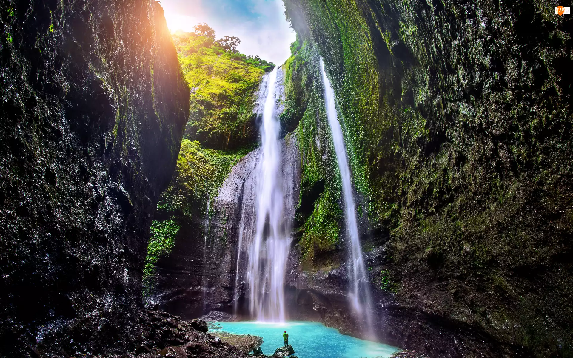 Madakaripura Waterfall, Omszałe, Indonezja, Wodospad, Wyspa Jawa, Drzewa, Skały