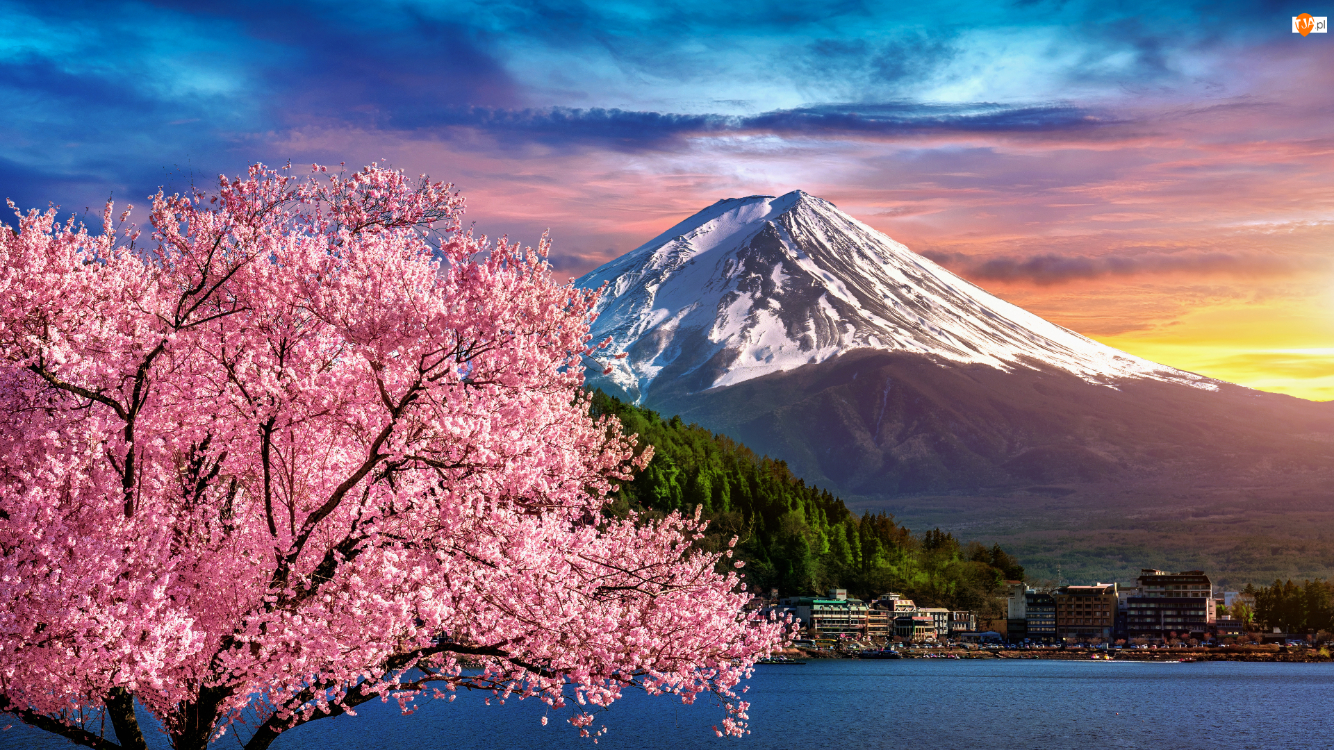 Góra, Wiosna, Domy, Mount Fuji, Kwitnące, Stratowulkan Fudżi, Japonia, Drzewo