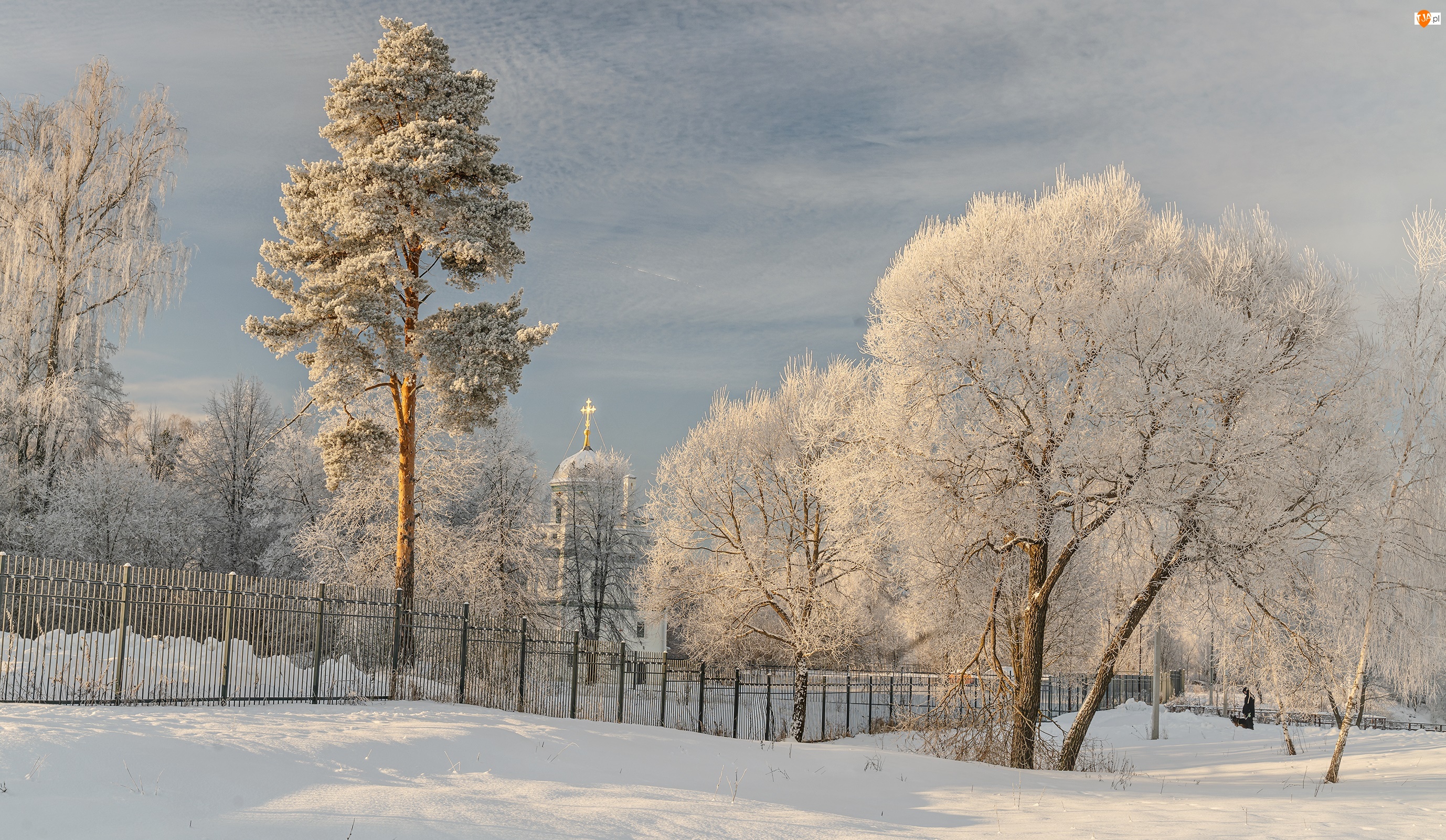 Cerkiew, Zima, Drzewa, Ogrodzenie