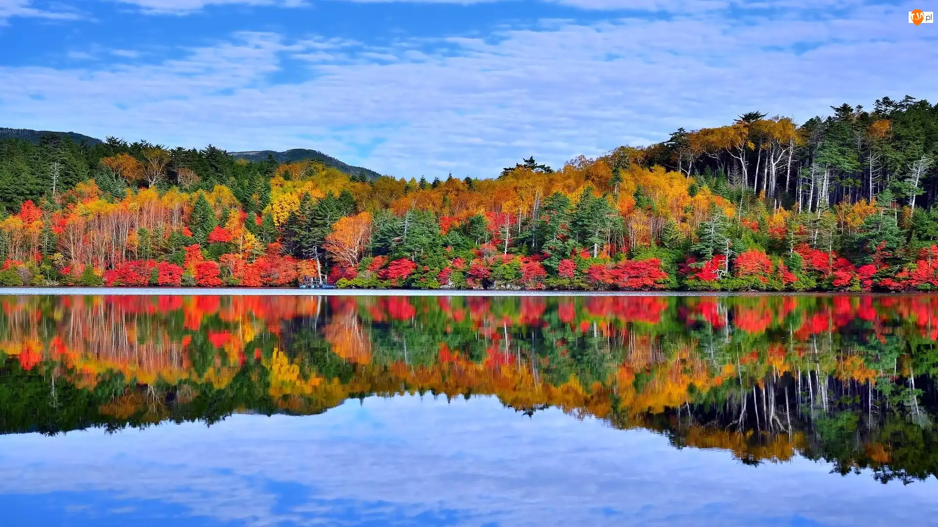 Jezioro Shirakoma, Kolorowe, Japonia, Jesień, Nagano, Odbicie, Drzewa