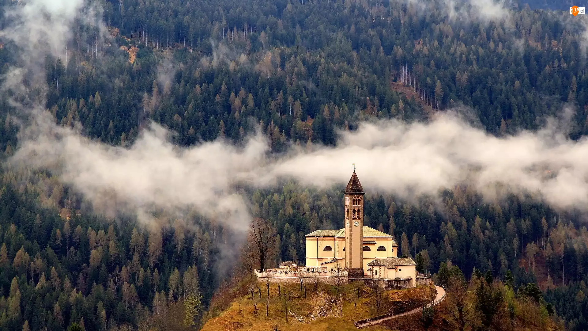 Kościół, Wzgórze, Mgła, Włochy, Las, Castello Molina di Fiemme