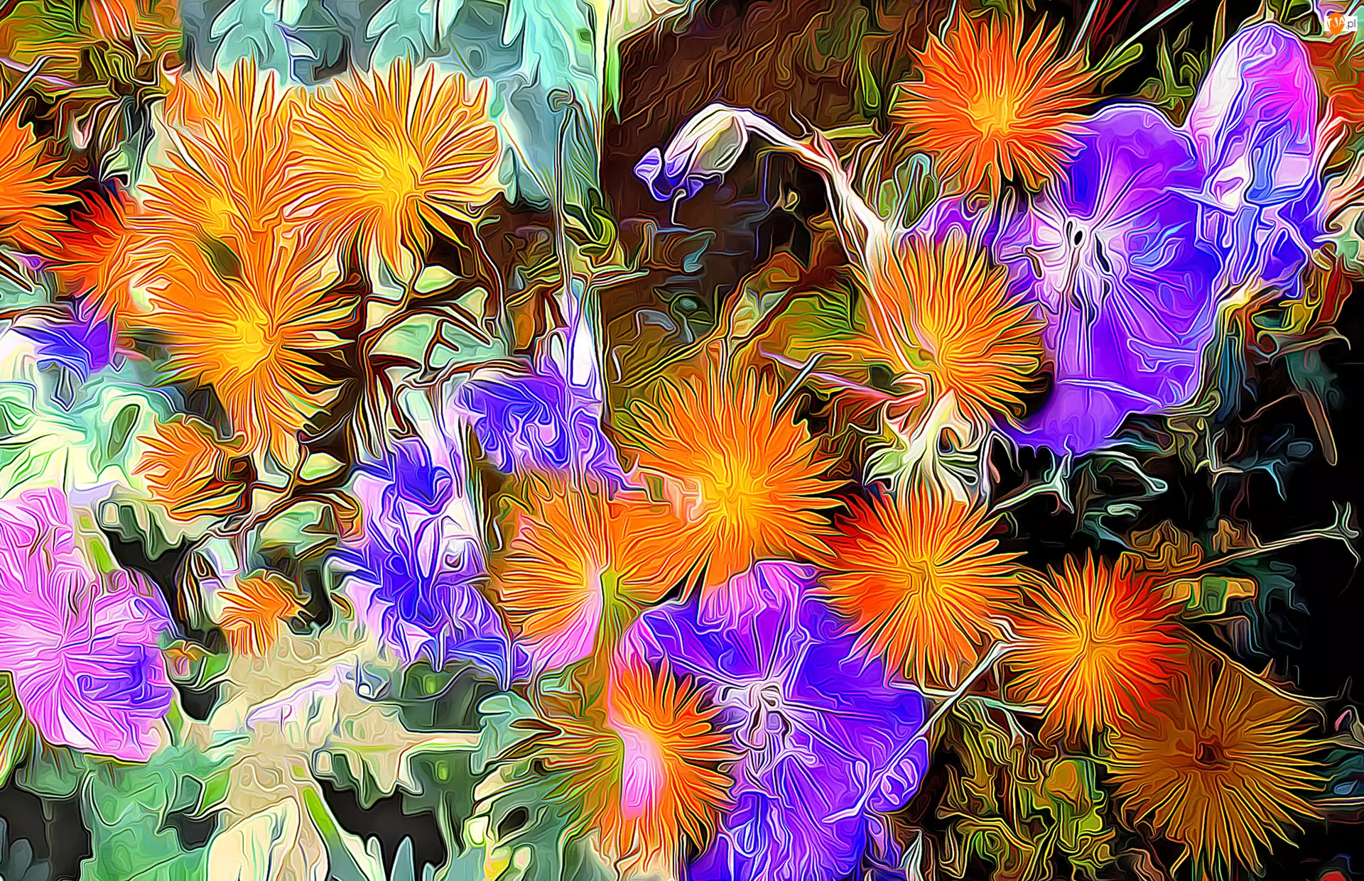 Fractalius, Pomarańczowe, Fioletowe, Kwiaty