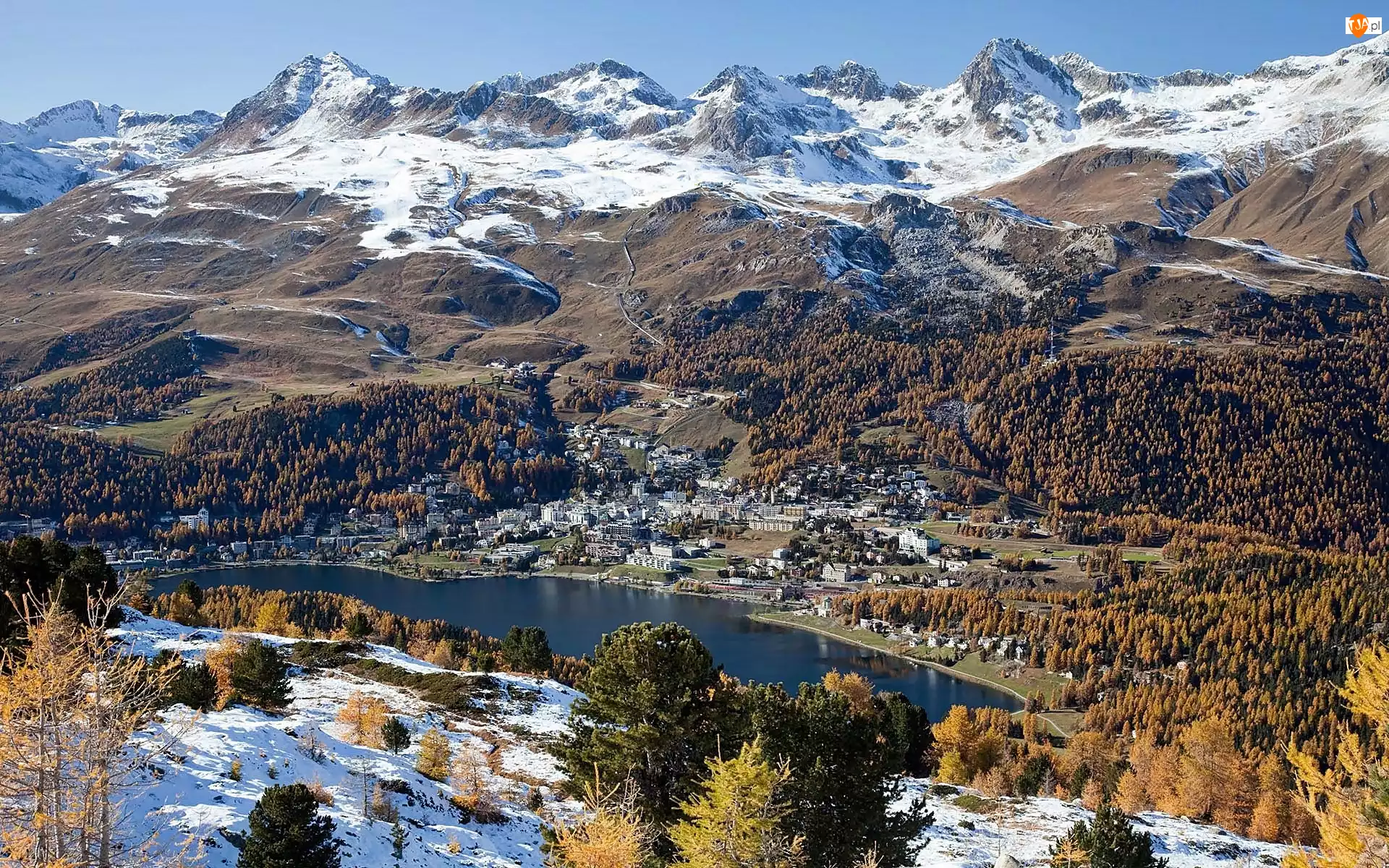 Jezioro, St.Moritz, Lasy, Alpy, Kurort
