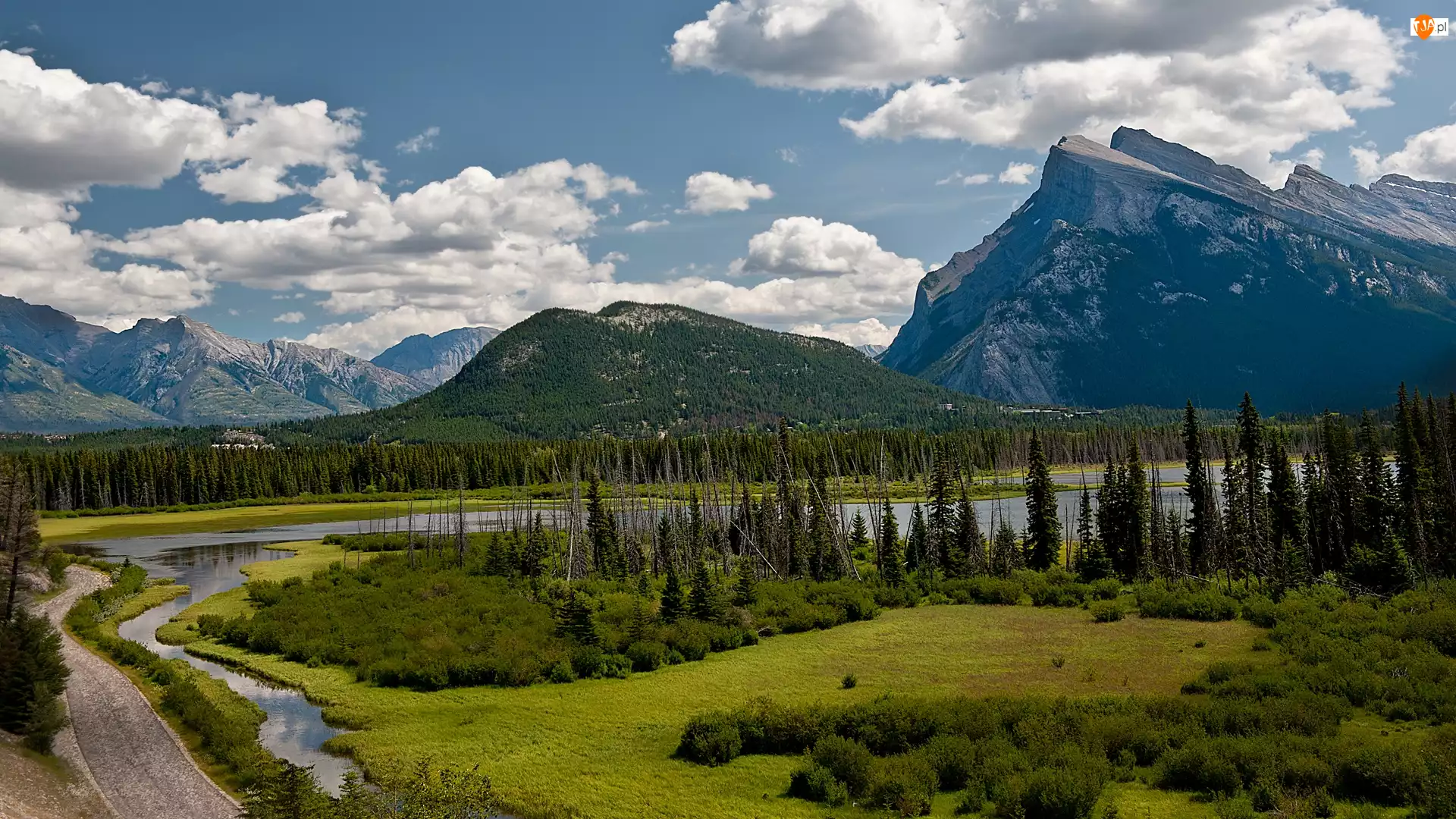 Drzewa, Park Narodowy Banff, Kanada, Góry, Góra Mount Rundle, Las, Chmury, Jezioro Vermilion